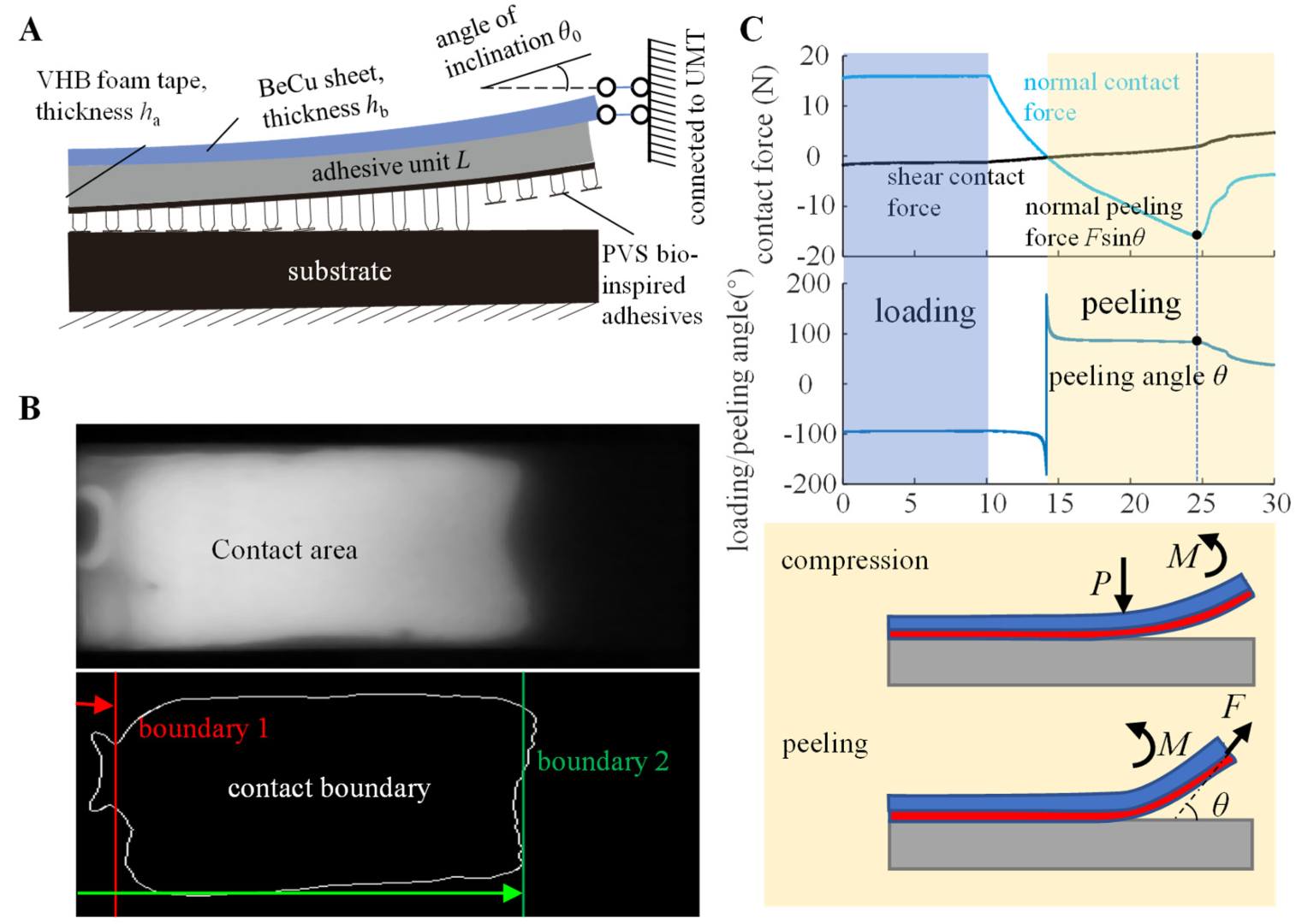 Biomimetics 07 00119 g005