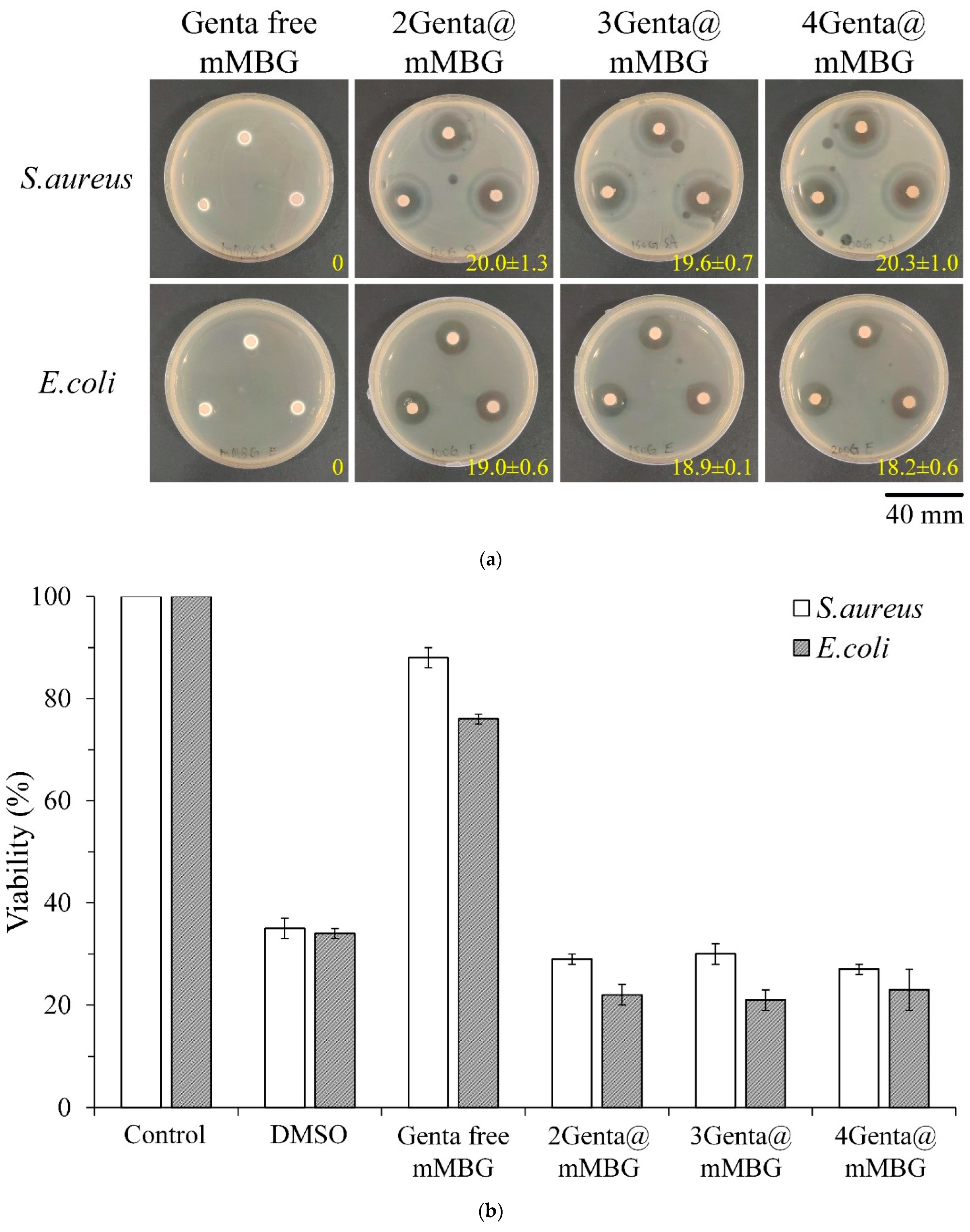 Biomimetics 07 00121 g004