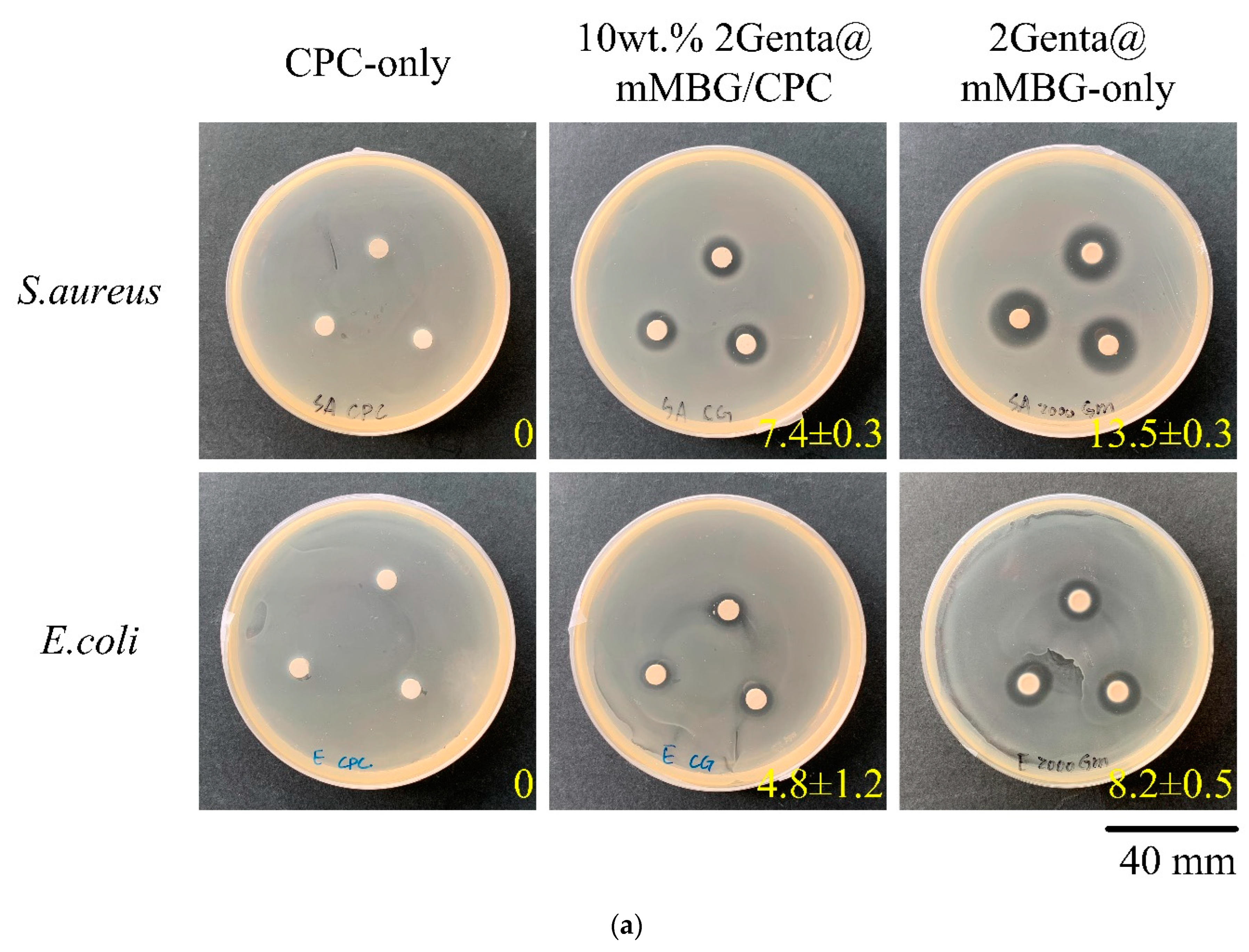 Biomimetics 07 00121 g007a