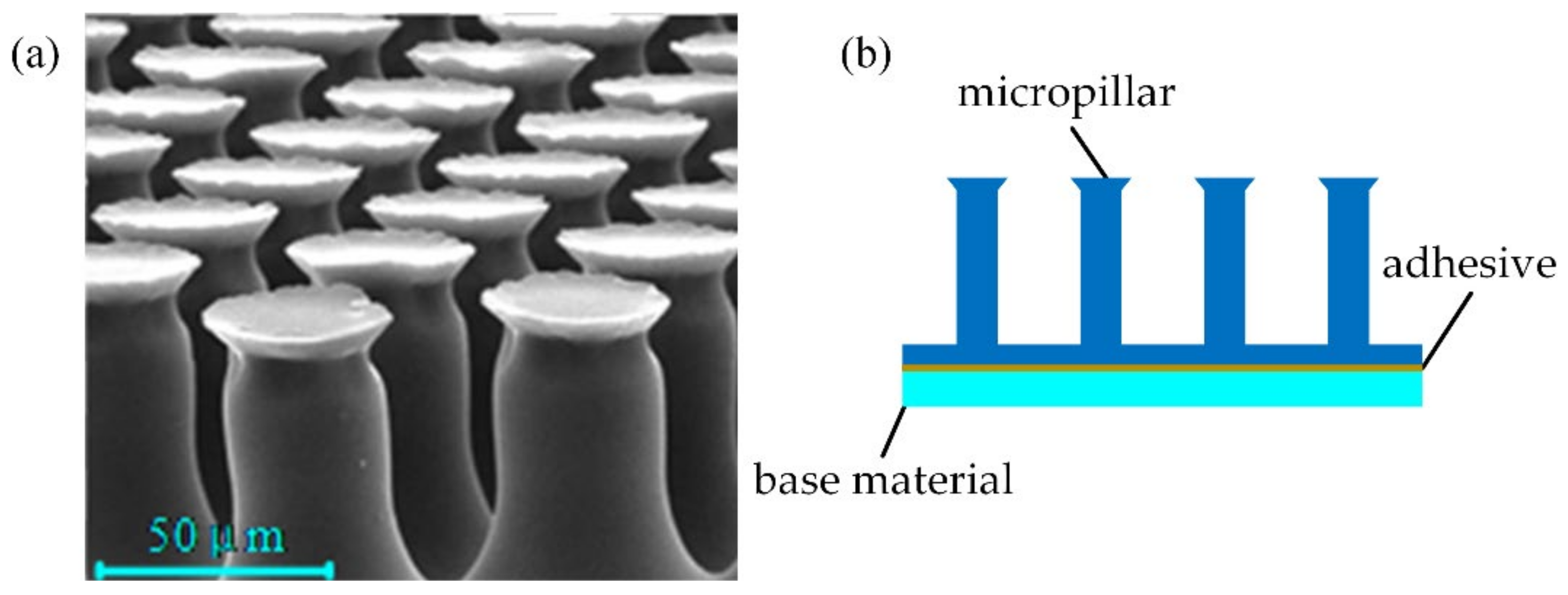 Biomimetics 07 00125 g002