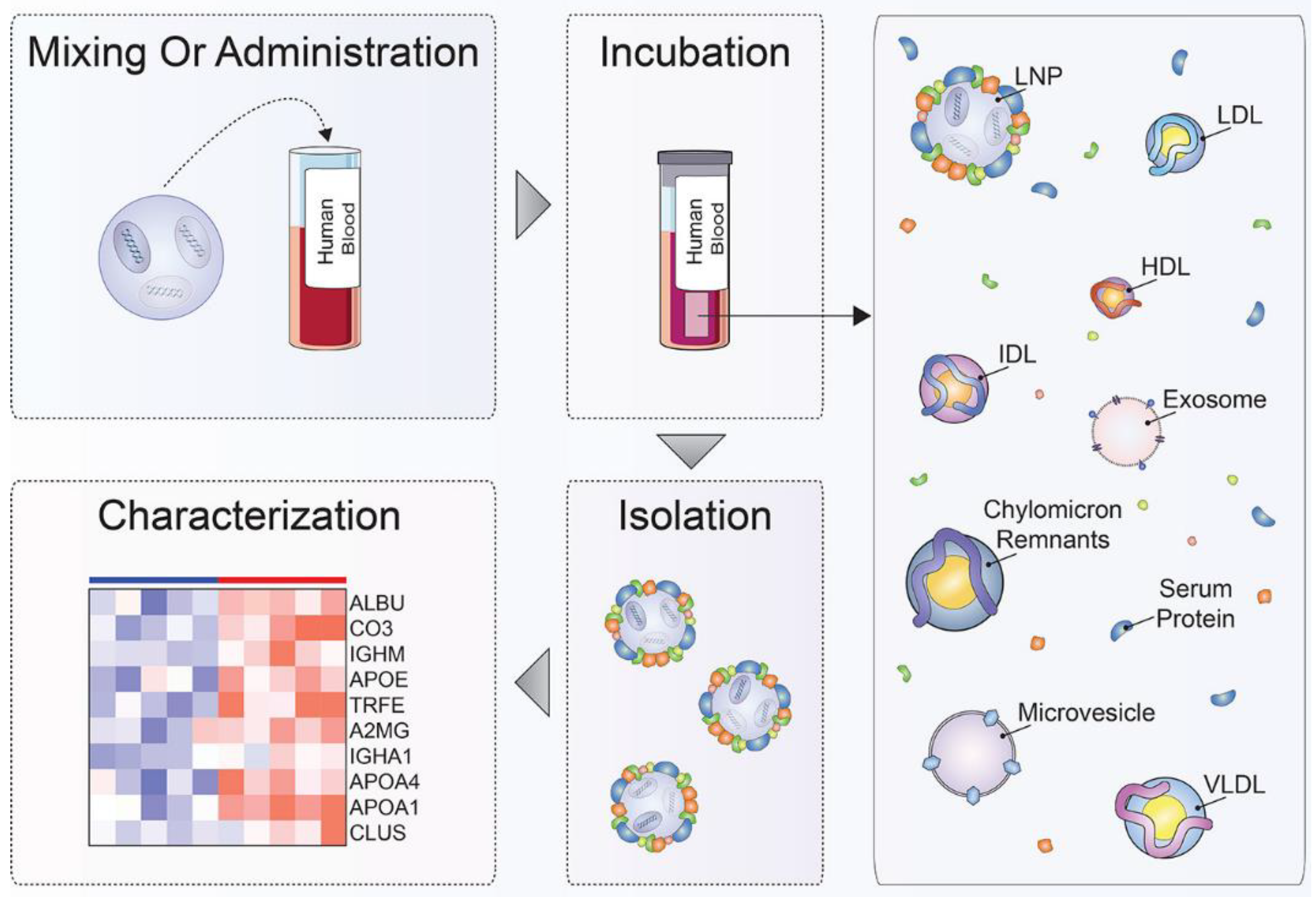 Biomimetics 07 00126 g002