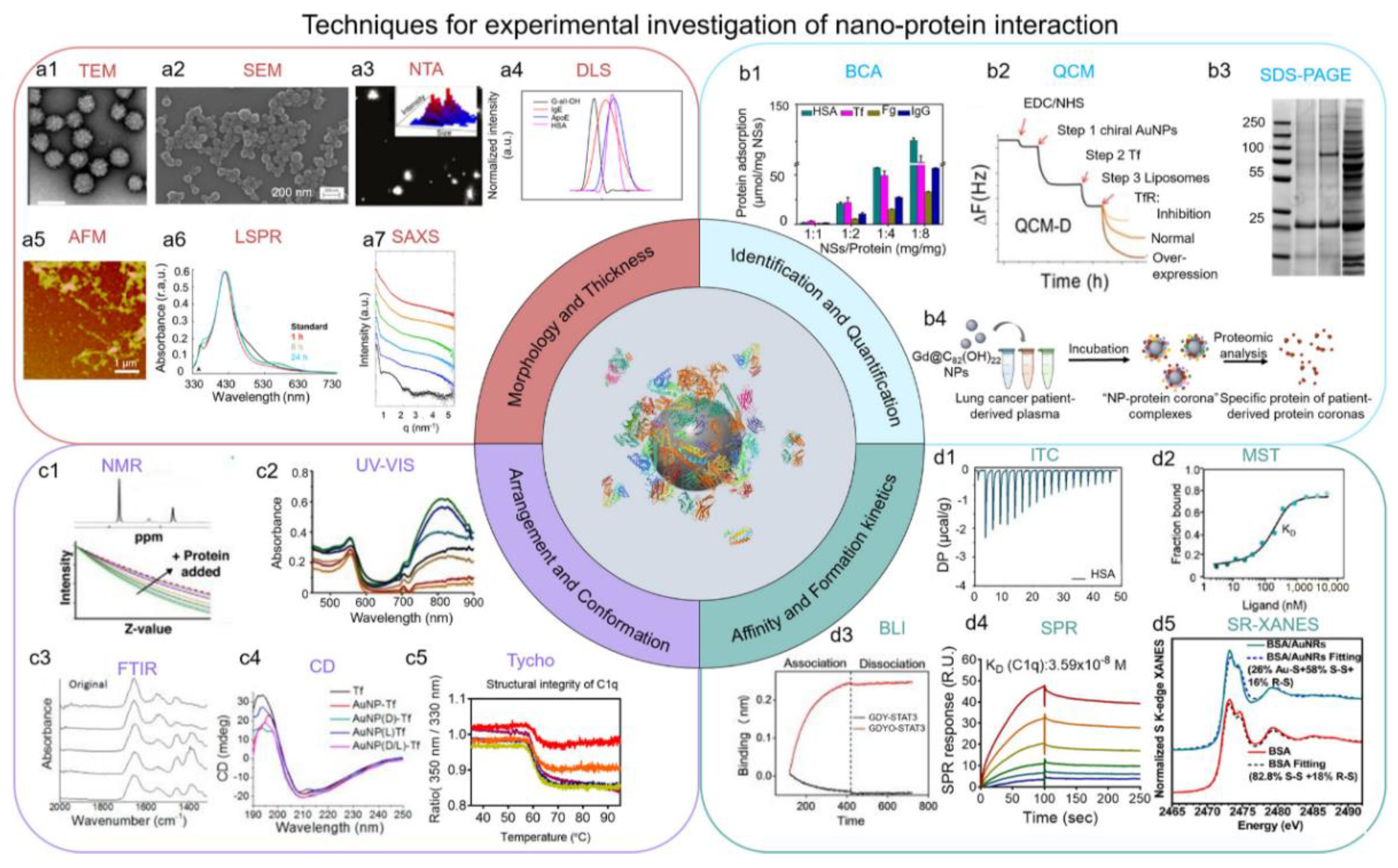 Biomimetics 07 00126 g003