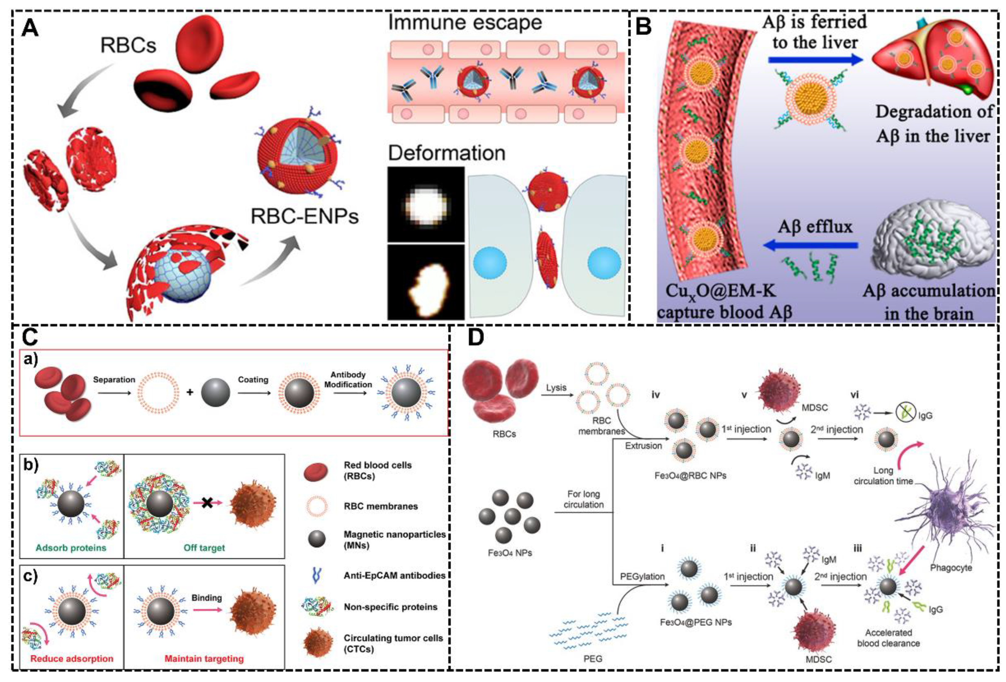 Biomimetics 07 00126 g004