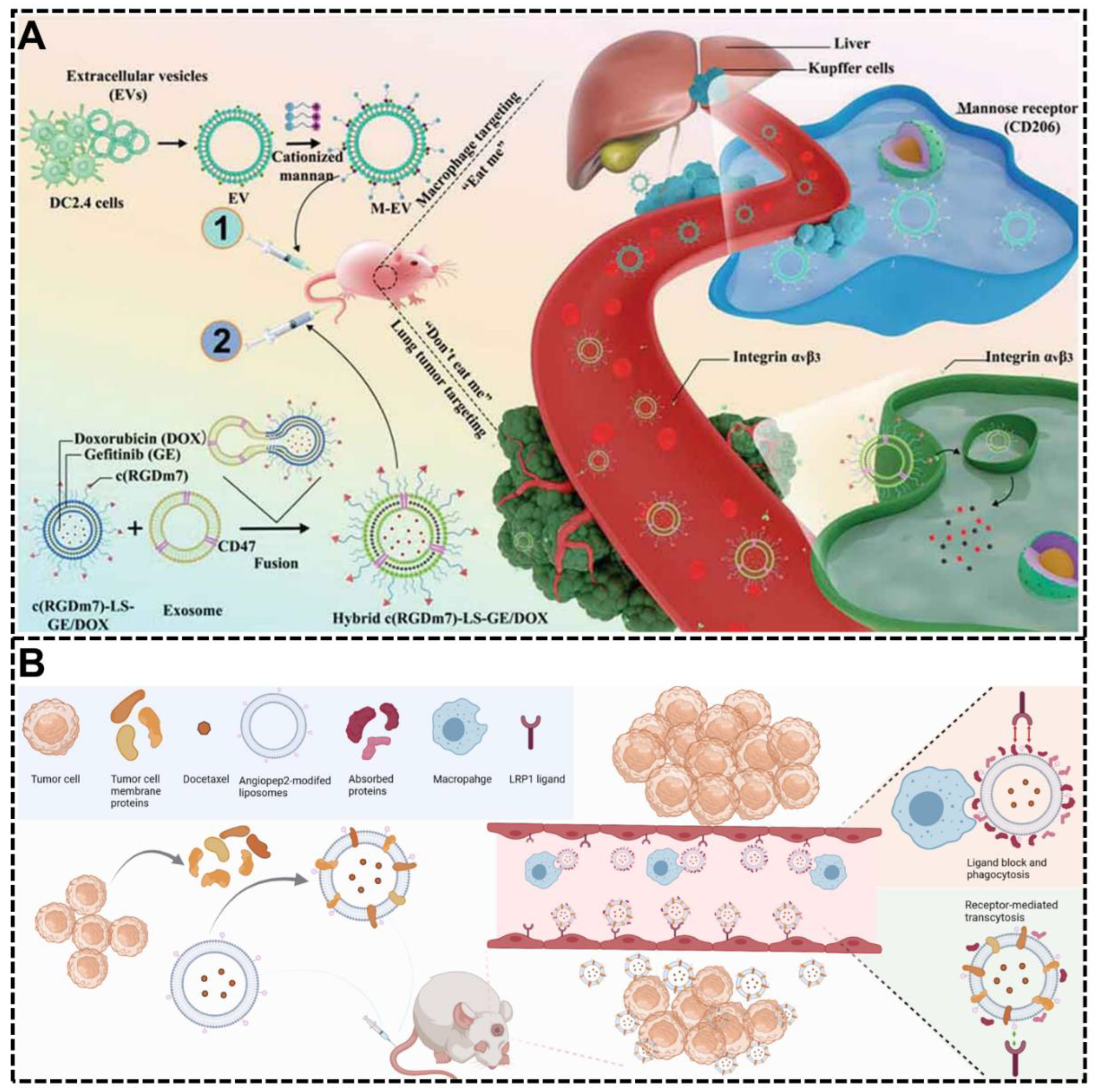 Biomimetics 07 00126 g006