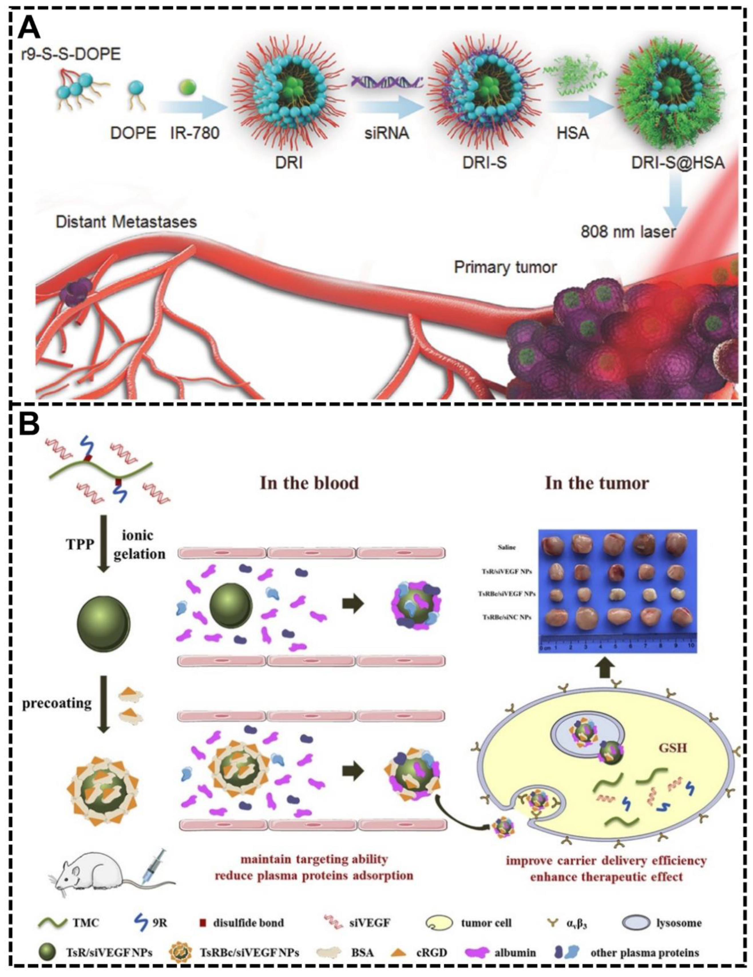 Biomimetics 07 00126 g008