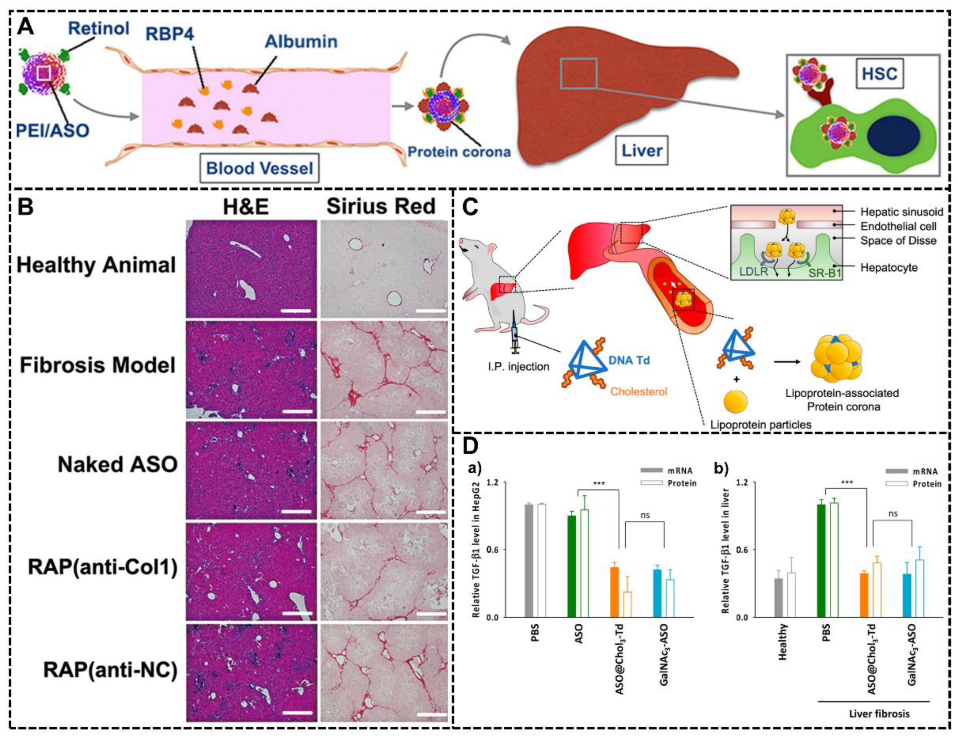 Biomimetics 07 00126 g010