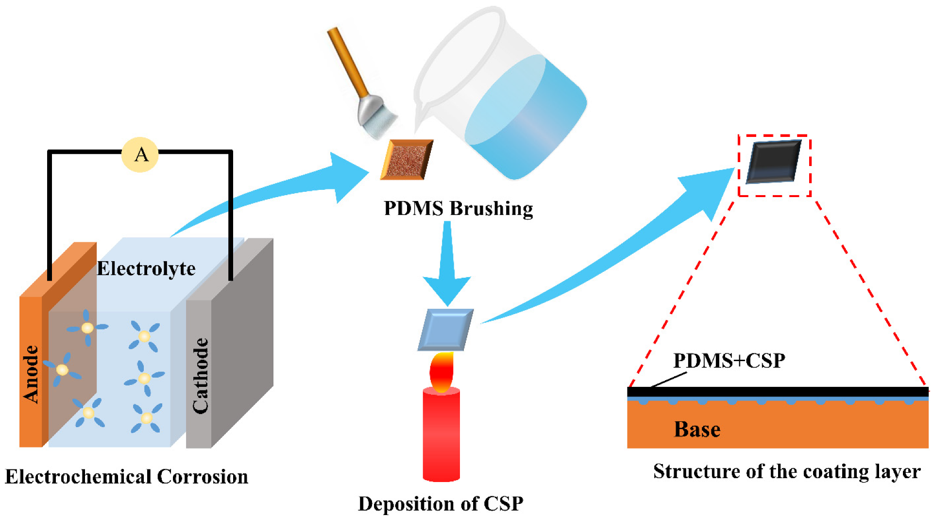 Schematic representation of self-cleaning processes on (a) a