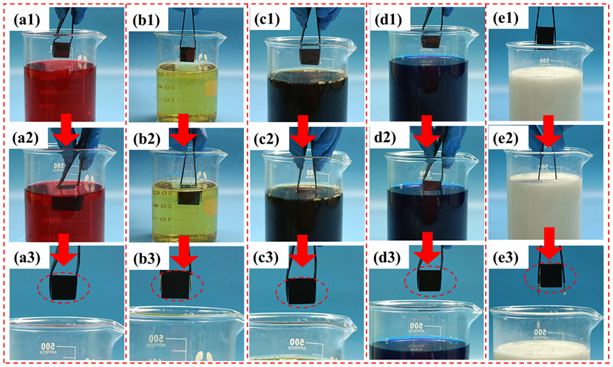 Biomimetics 07 00132 g007