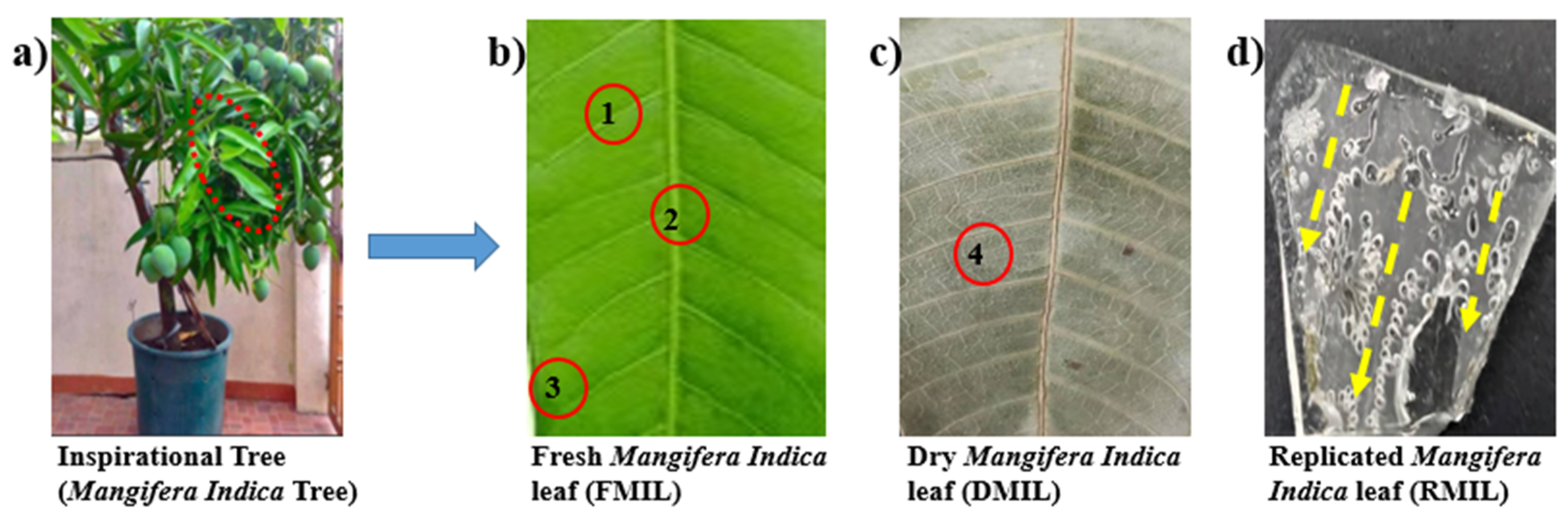 Biomimetics 07 00147 g001 Biomimetics 07 00147 g001