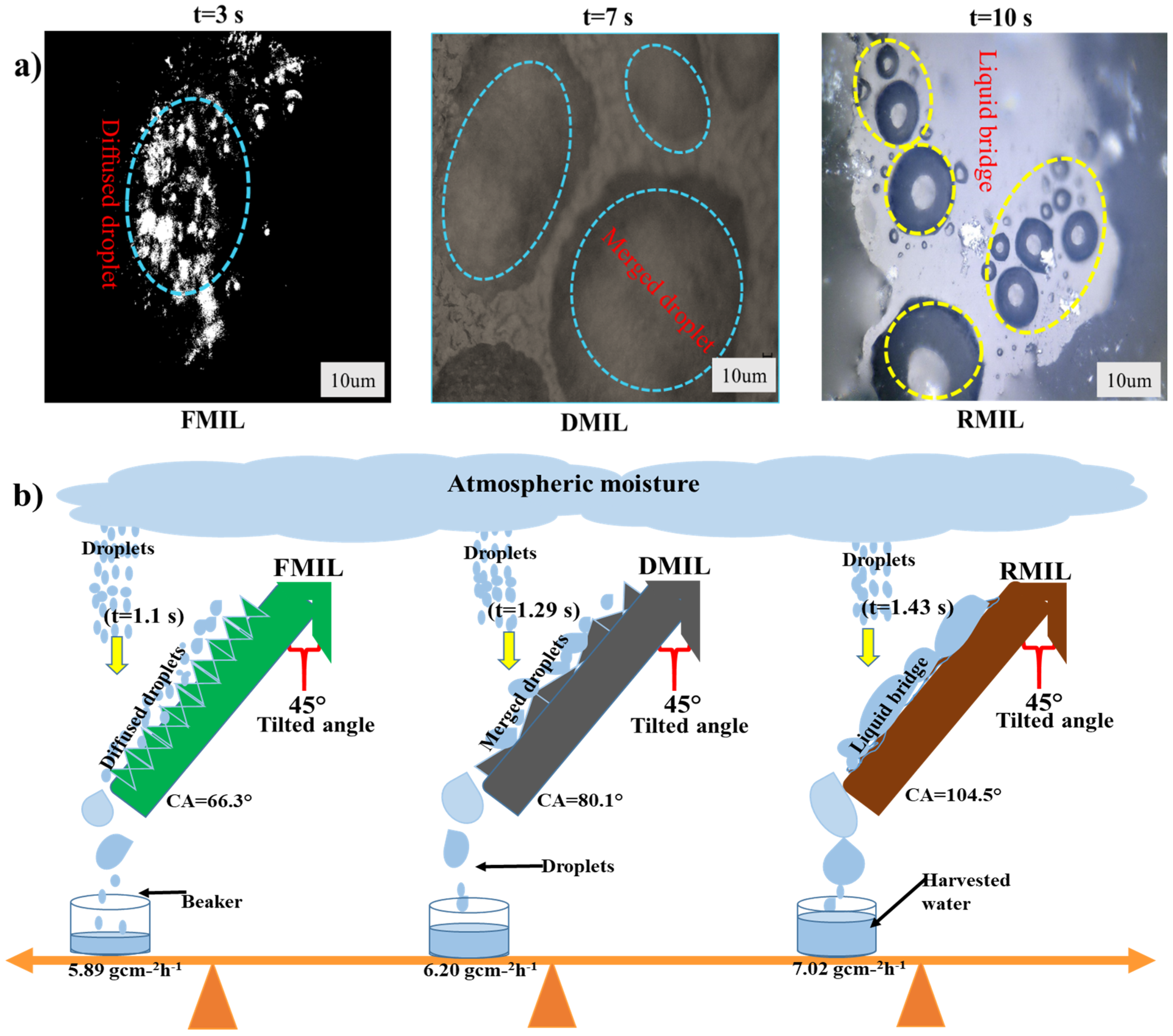 Biomimetics 07 00147 g005 Biomimetics 07 00147 g005