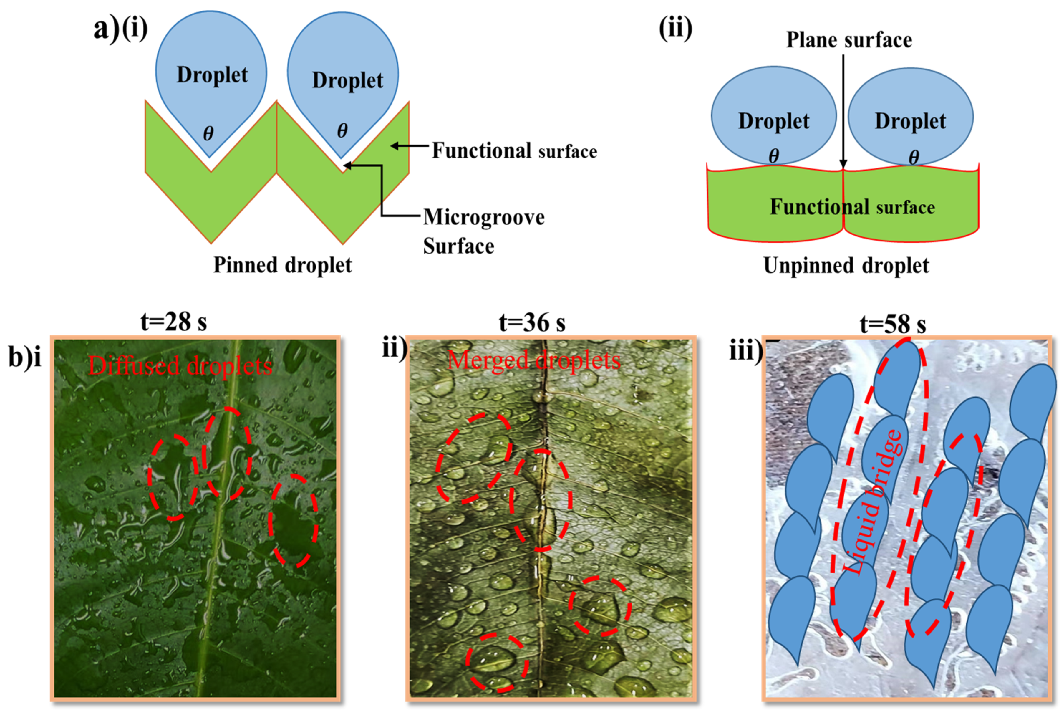 Biomimetics 07 00147 g007 Biomimetics 07 00147 g007