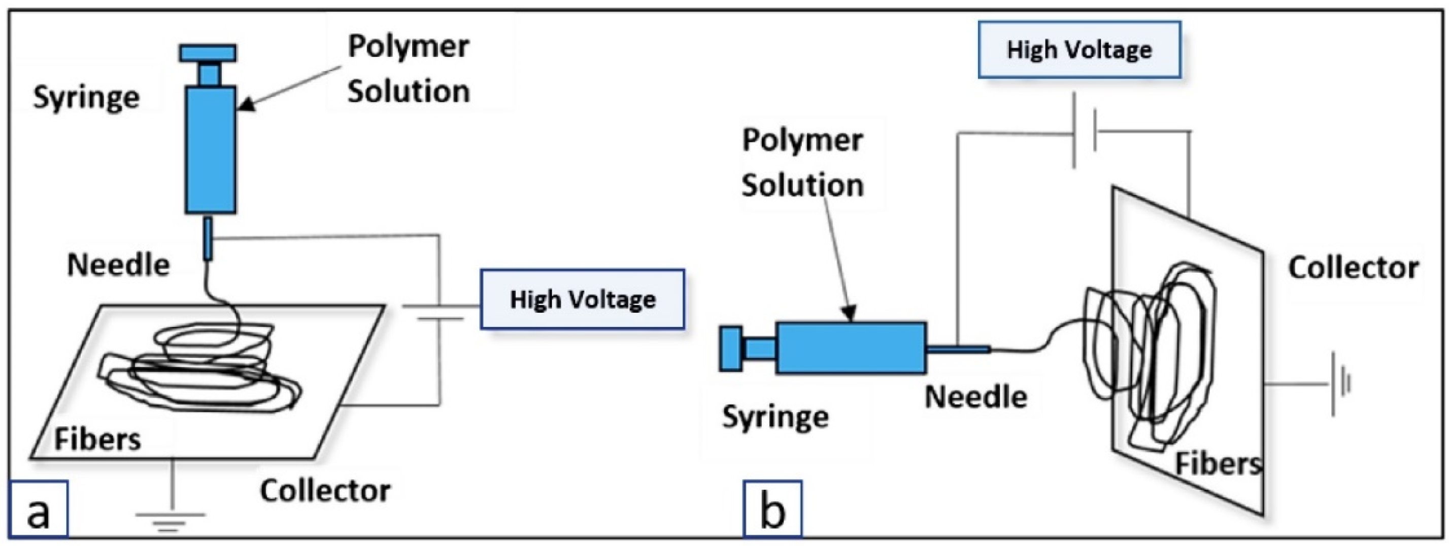 Biomimetics 07 00151 g003 Biomimetics 07 00151 g003