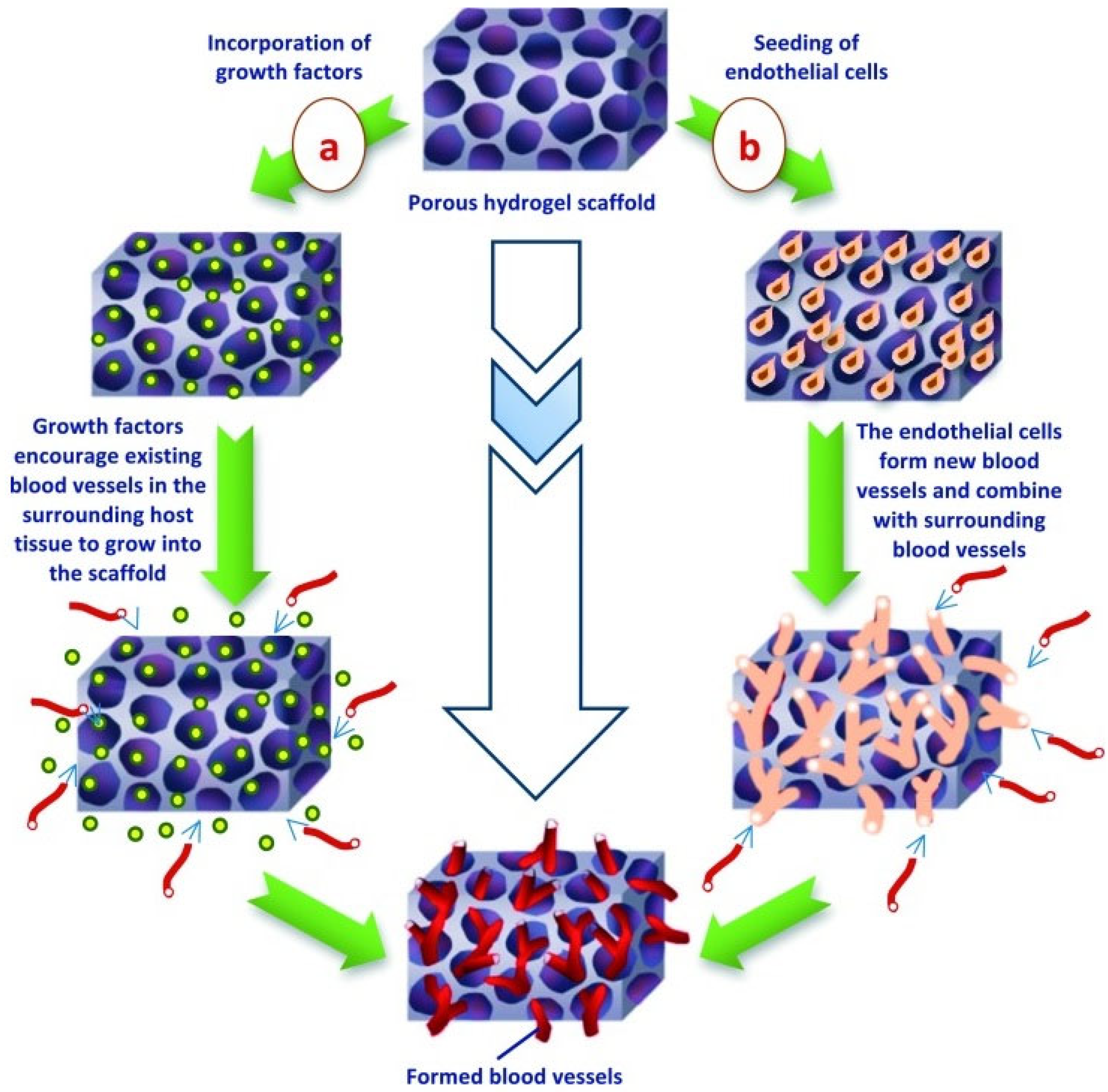 Biomimetics 07 00151 g005 Biomimetics 07 00151 g005