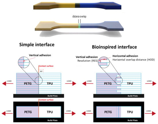 Biomimetics | Free Full-Text | The Mechanics Of Bioinspired Stiff-to ...