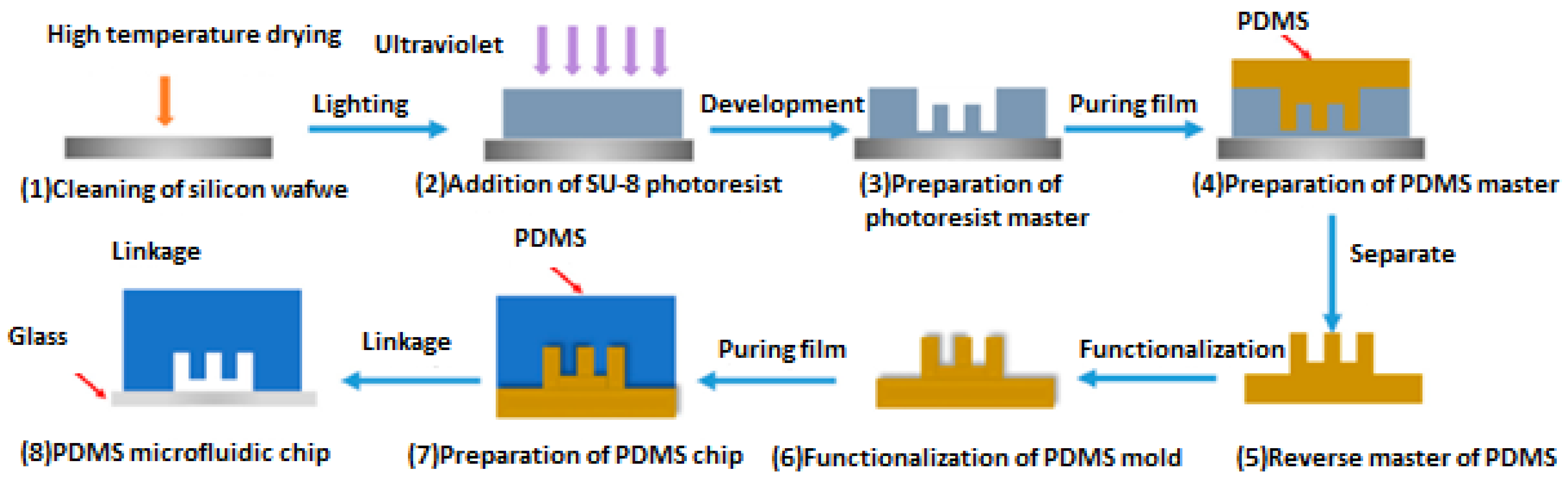 Biomimetics 07 00175 sch001 Biomimetics 07 00175 sch001