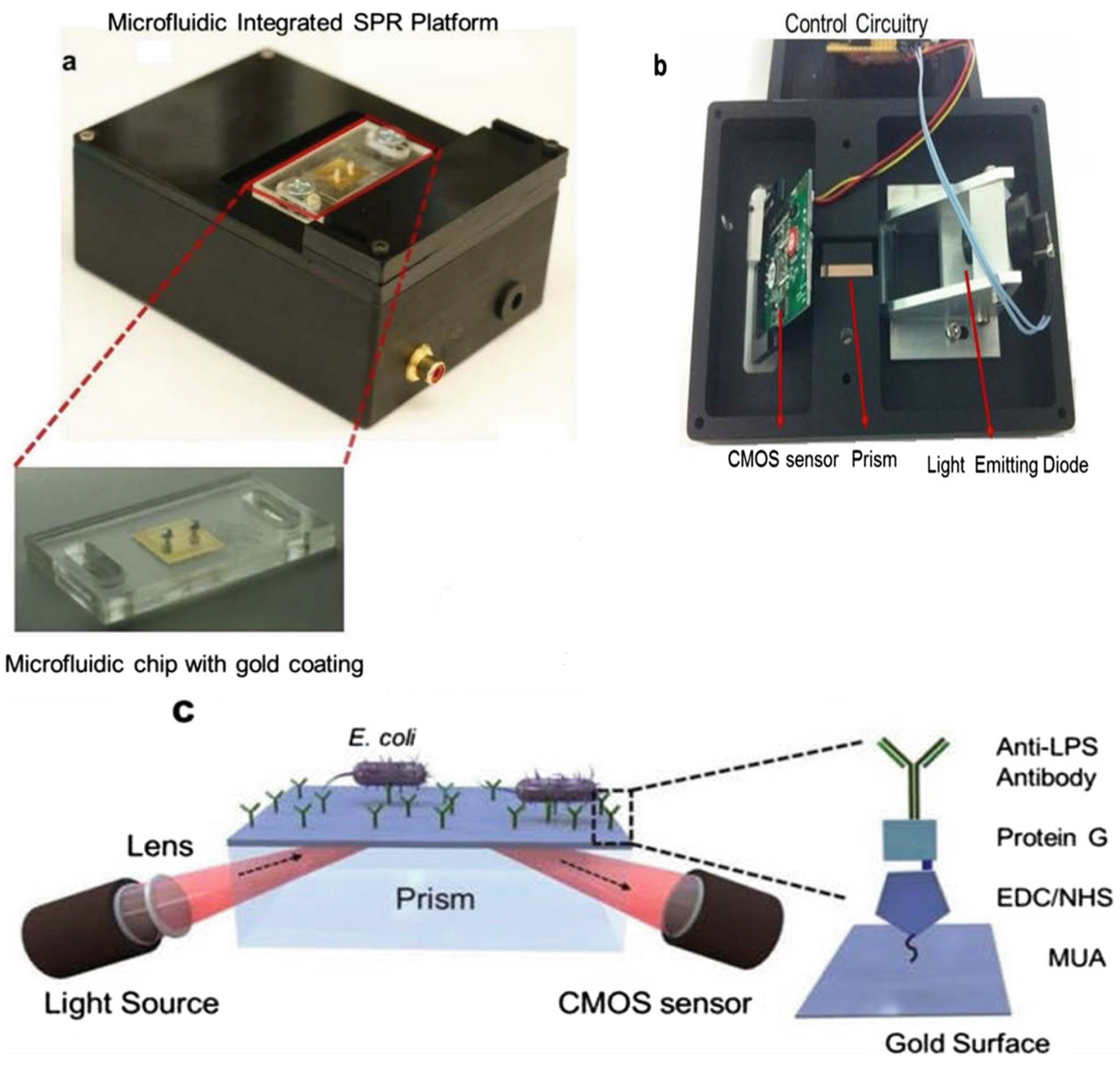 Biomimetics 07 00175 sch003 Biomimetics 07 00175 sch003