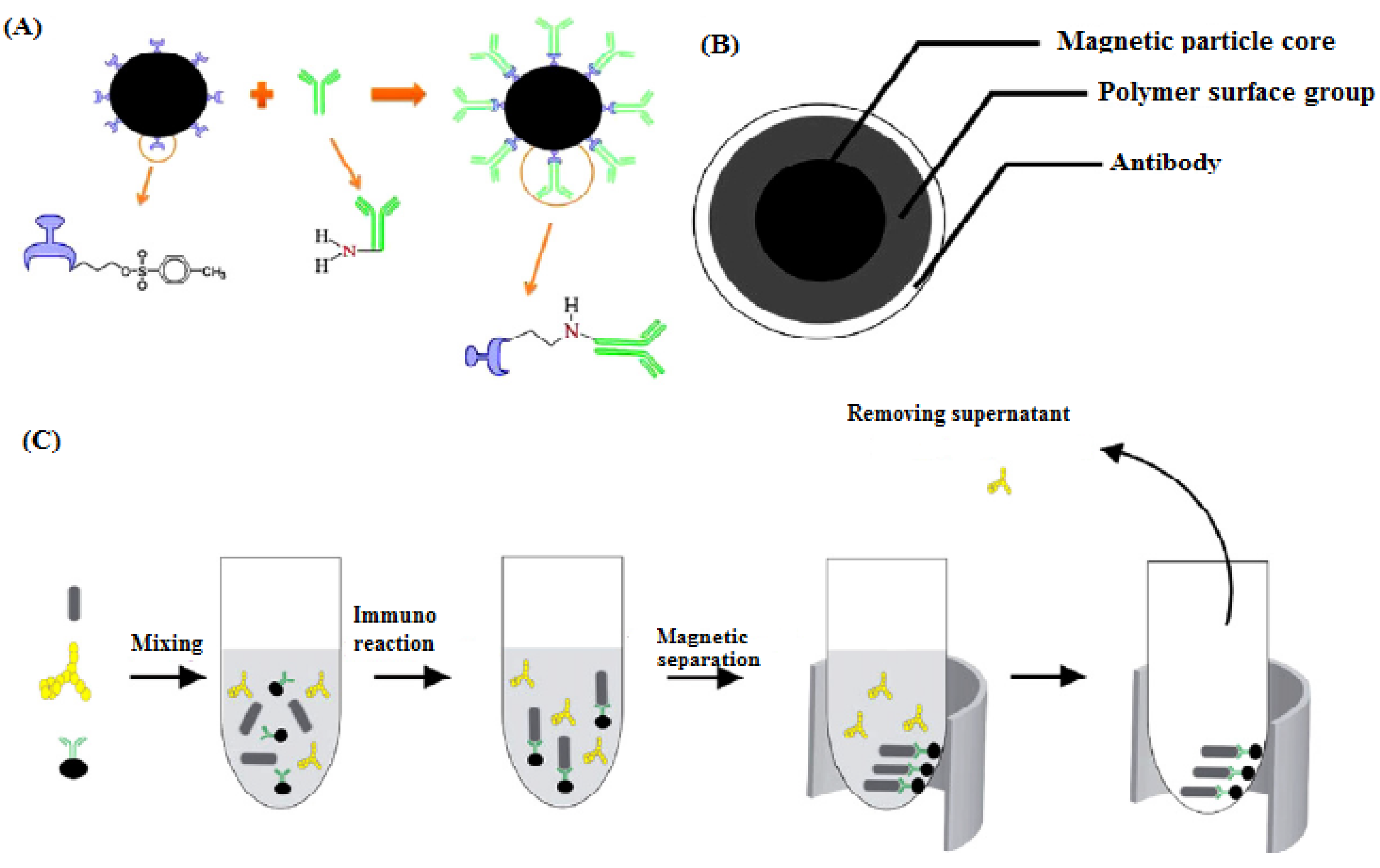 Biomimetics 07 00175 sch007 Biomimetics 07 00175 sch007