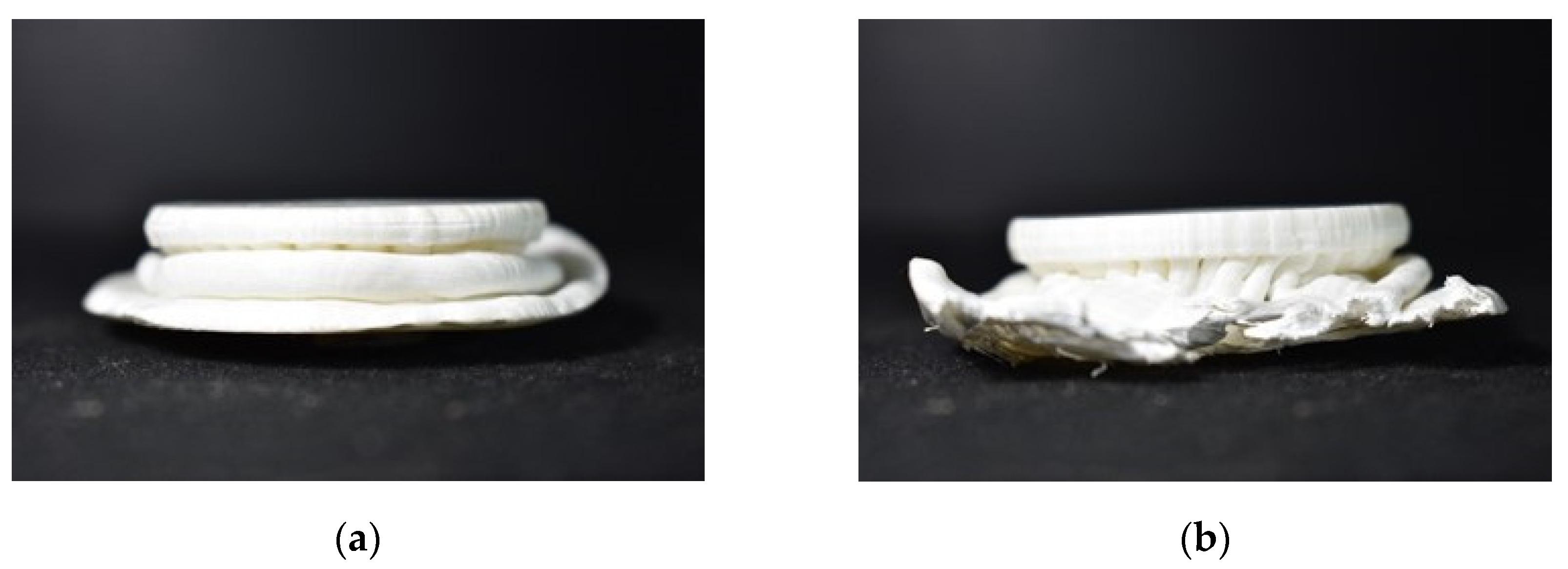 Biomimetics 07 00186 g020