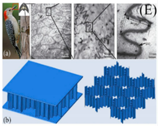 Biomimetics 07 00186 i006