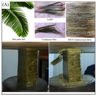 Biomimetics 07 00186 i007