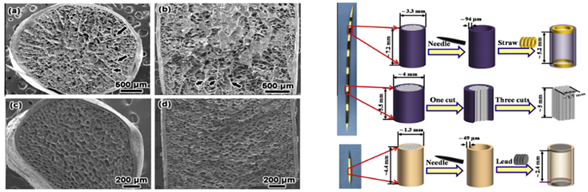 Biomimetics 07 00186 i010