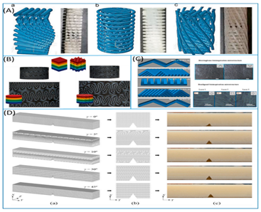 Biomimetics 07 00186 i013