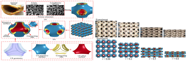 Biomimetics 07 00186 i017