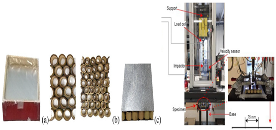 Biomimetics 07 00186 i020