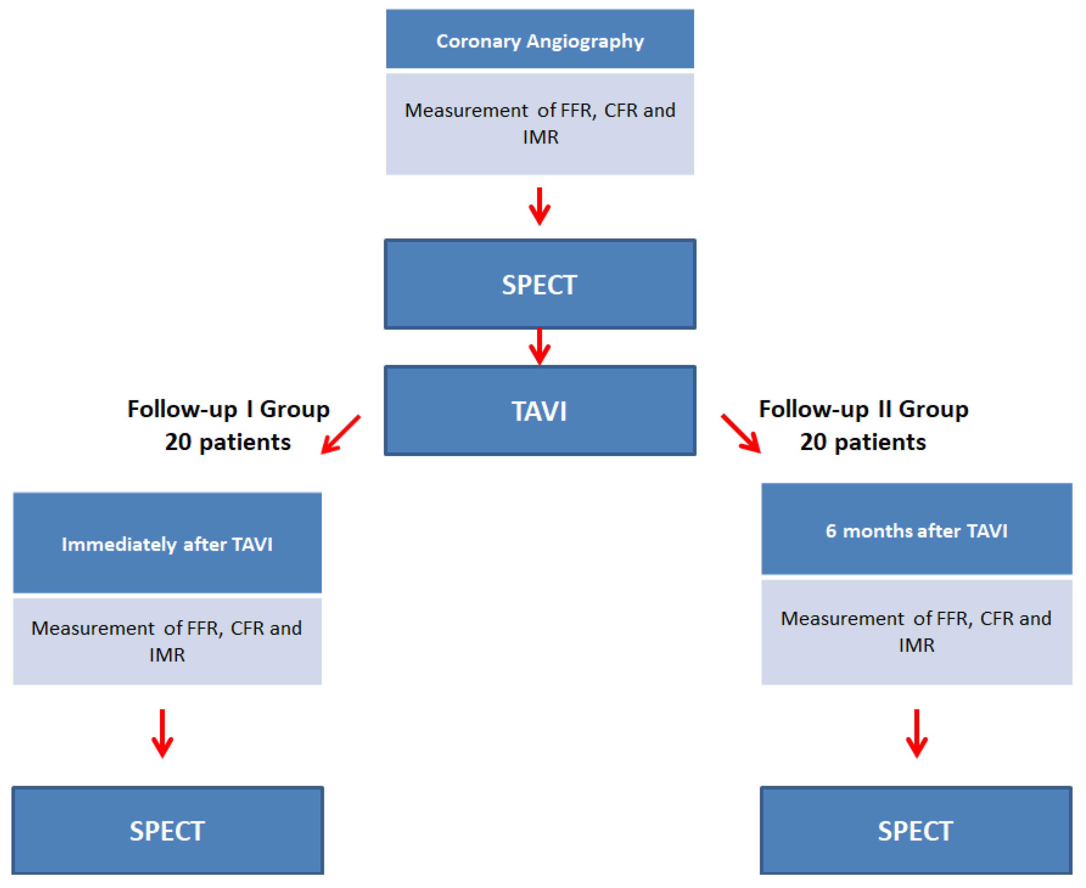 Biomimetics | Free Full-Text | Myocardial Perfusion and Coronary