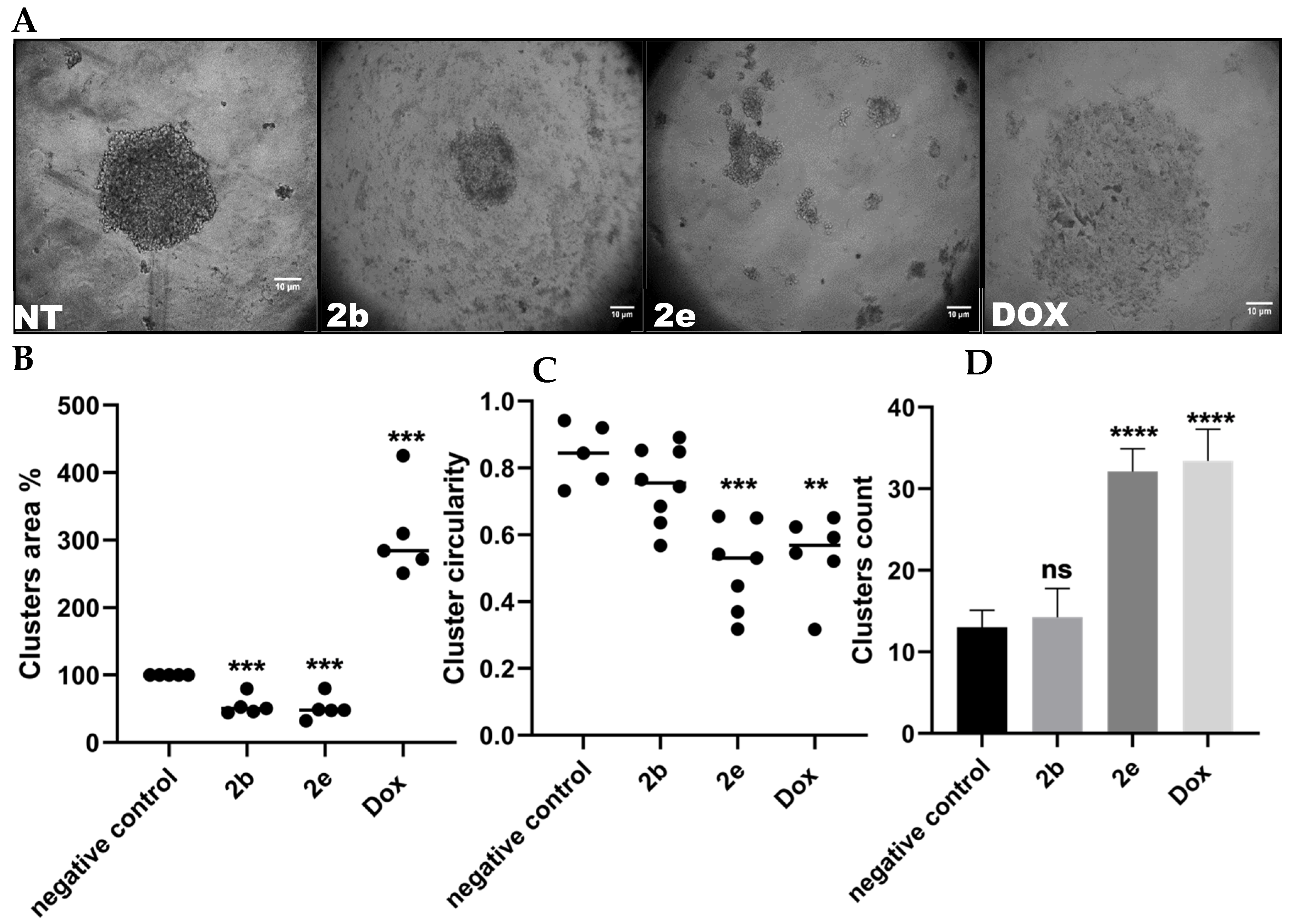 Biomimetics 07 00247 g002 Biomimetics 07 00247 g002