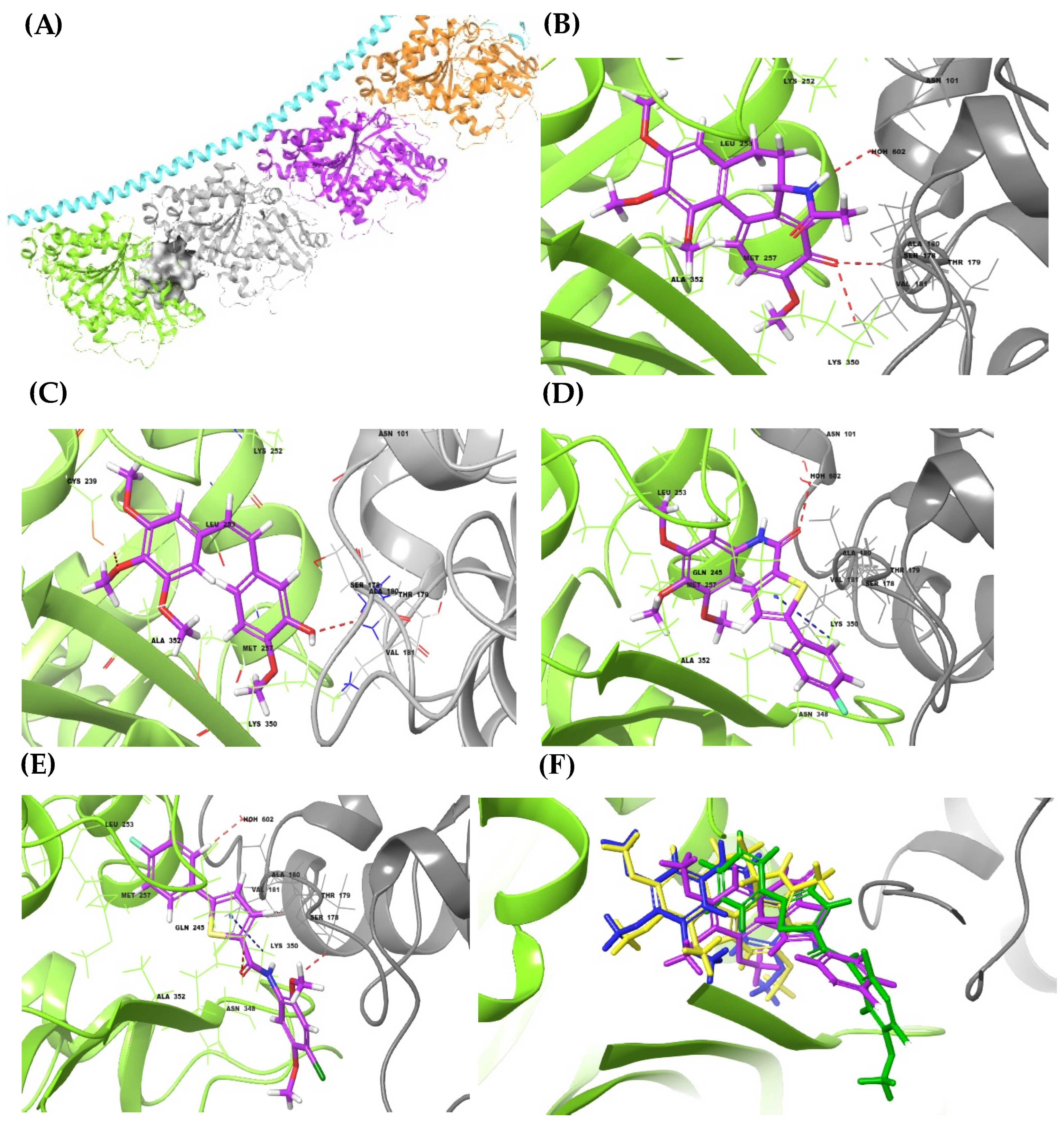 Biomimetics 07 00247 g004 Biomimetics 07 00247 g004