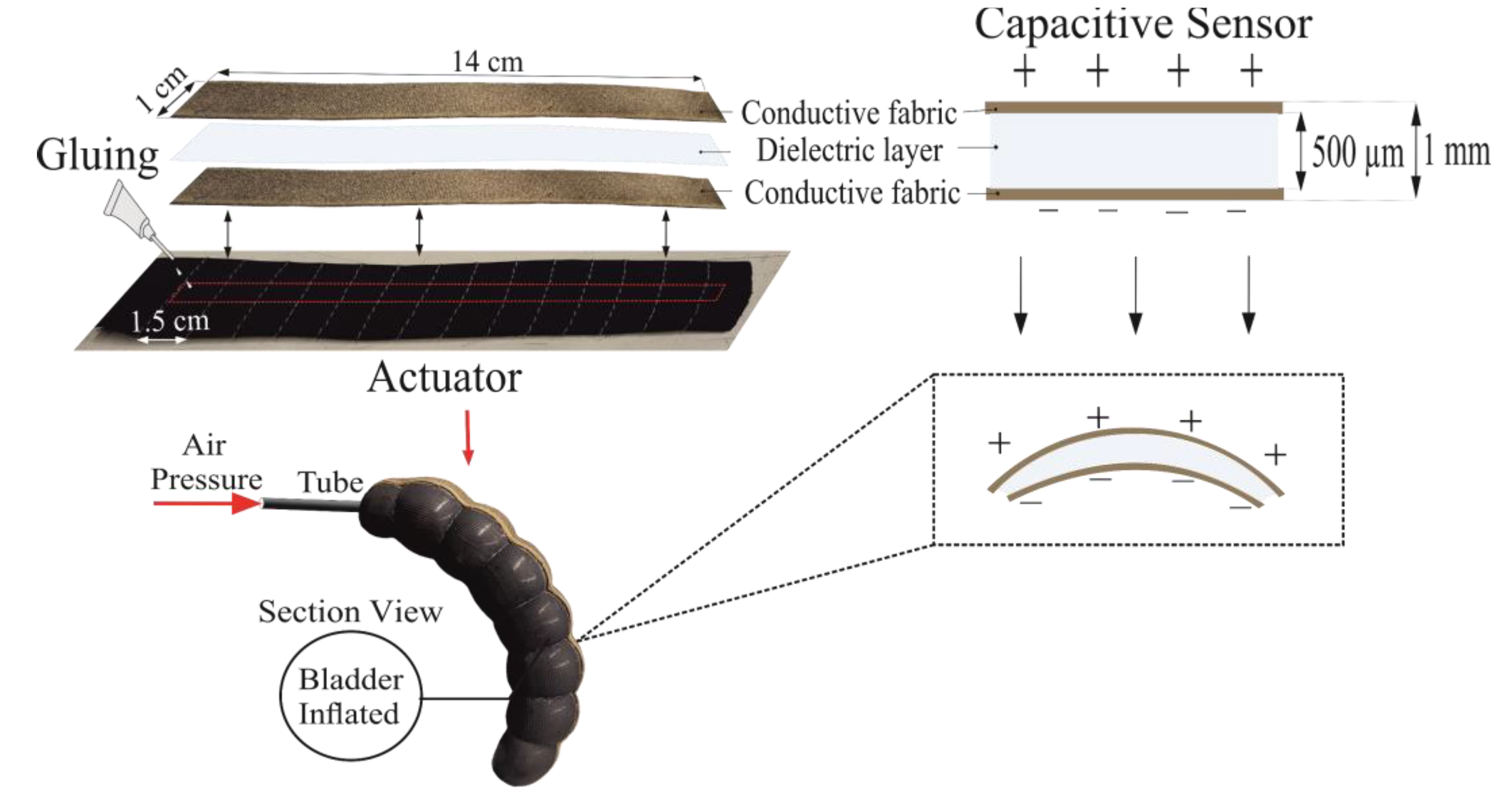 Biomimetics 07 00249 g002