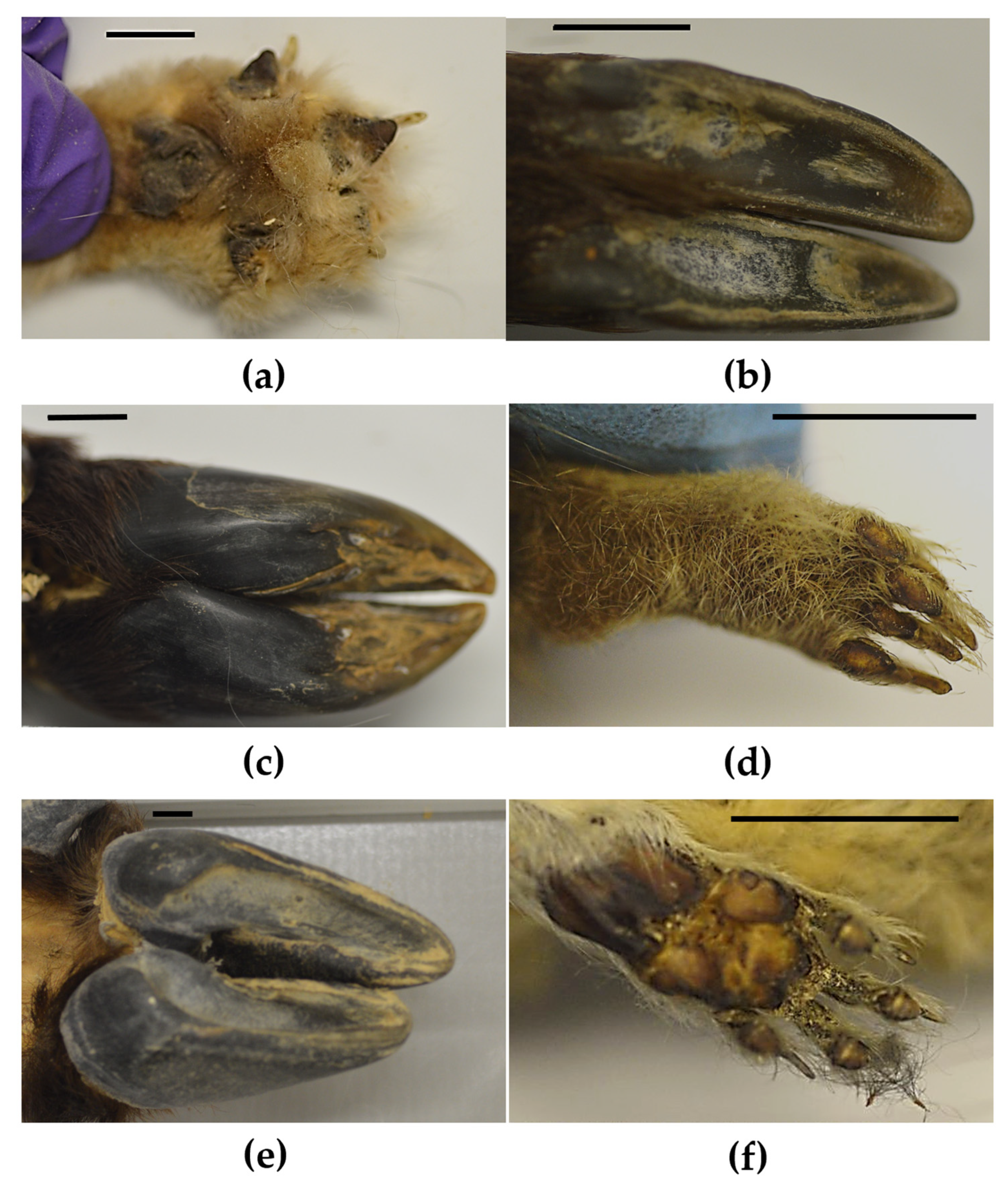 Biomimetics 08 00008 g002