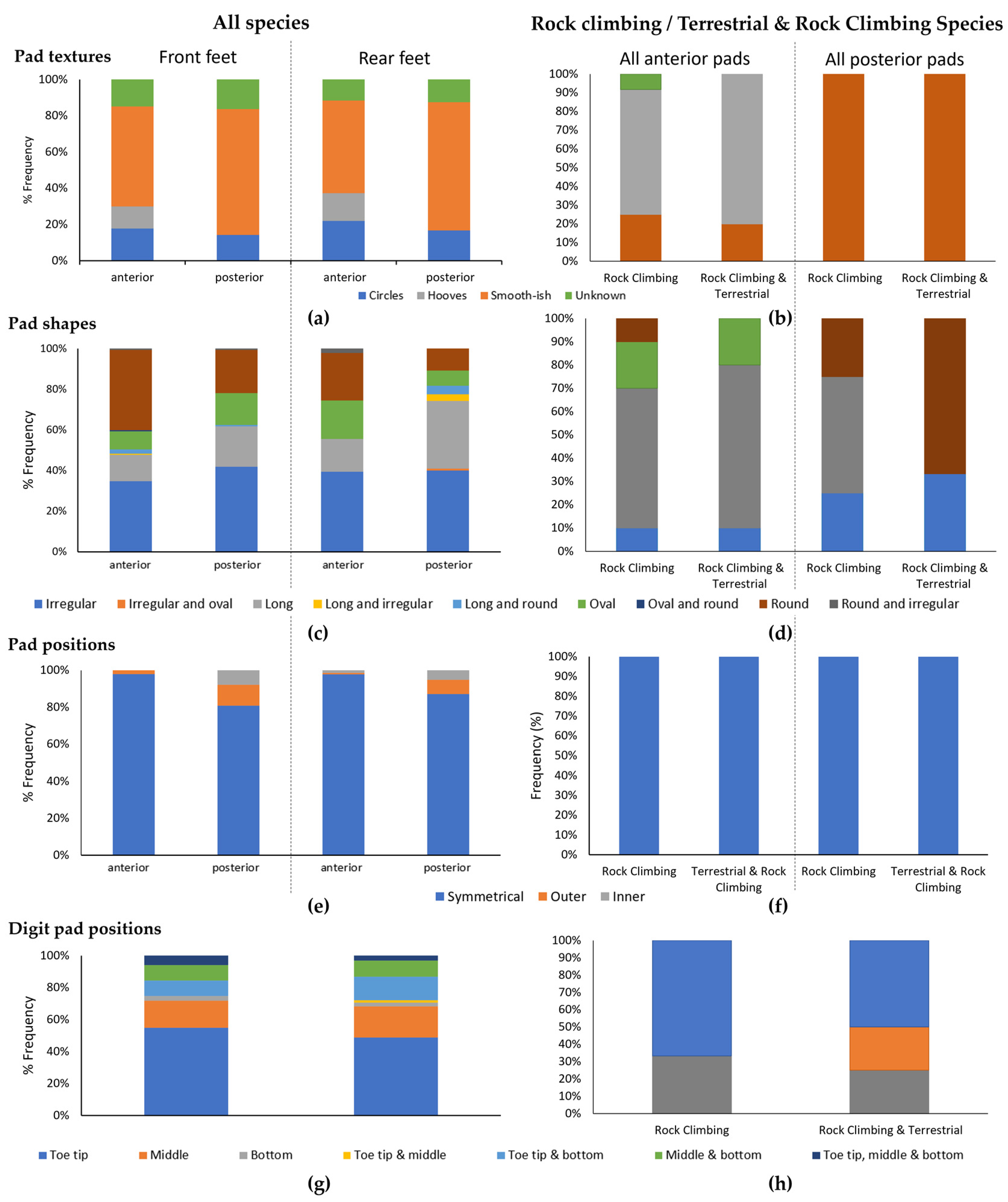 Biomimetics 08 00008 g004