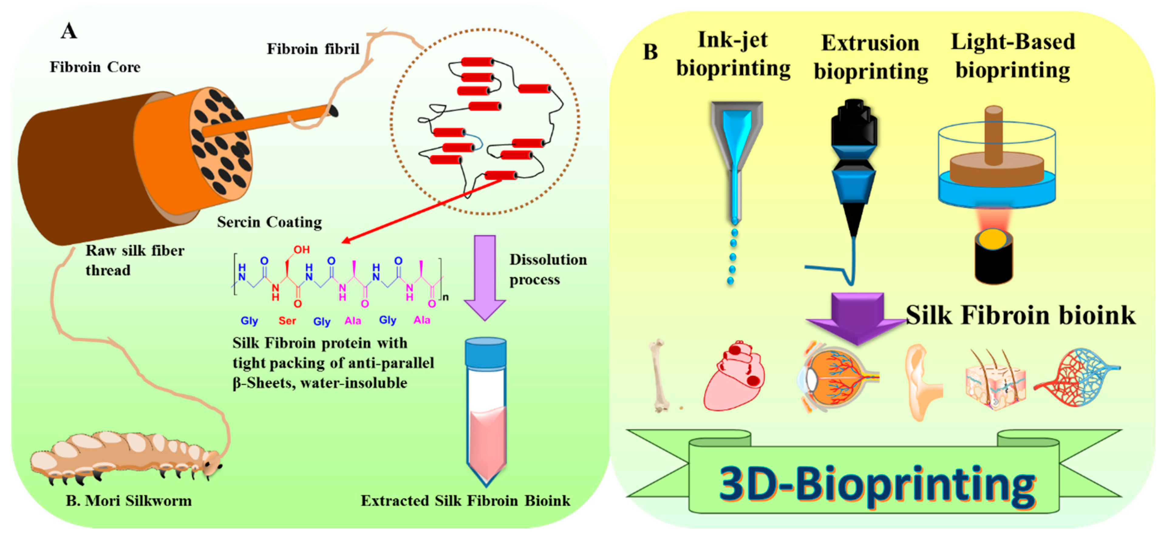 Recombinant Spider Silk Bioinks for Continuous Protein Release by