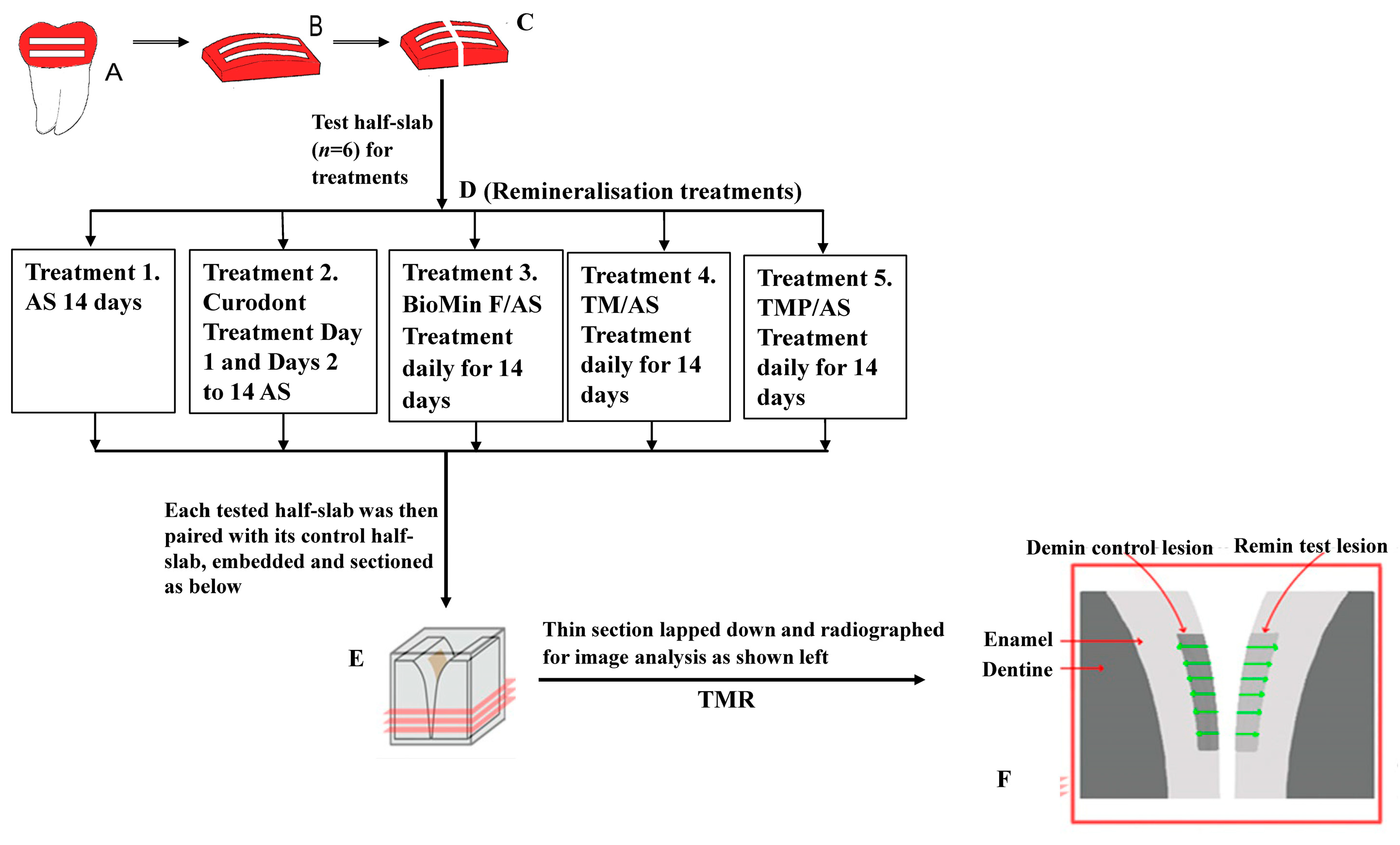 Biomimetics 08 00017 g001 Biomimetics 08 00017 g001