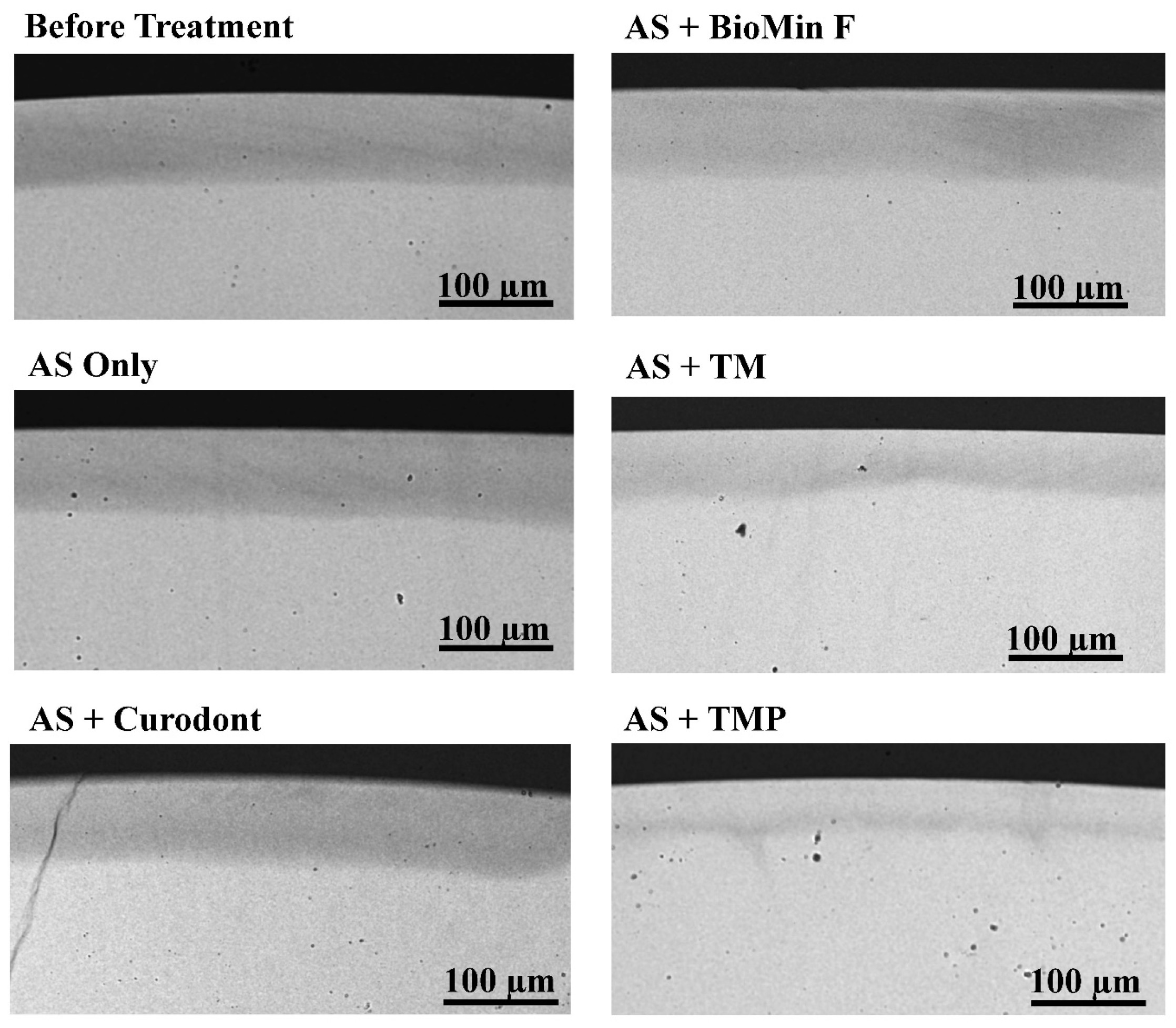 Biomimetics 08 00017 g002 Biomimetics 08 00017 g002