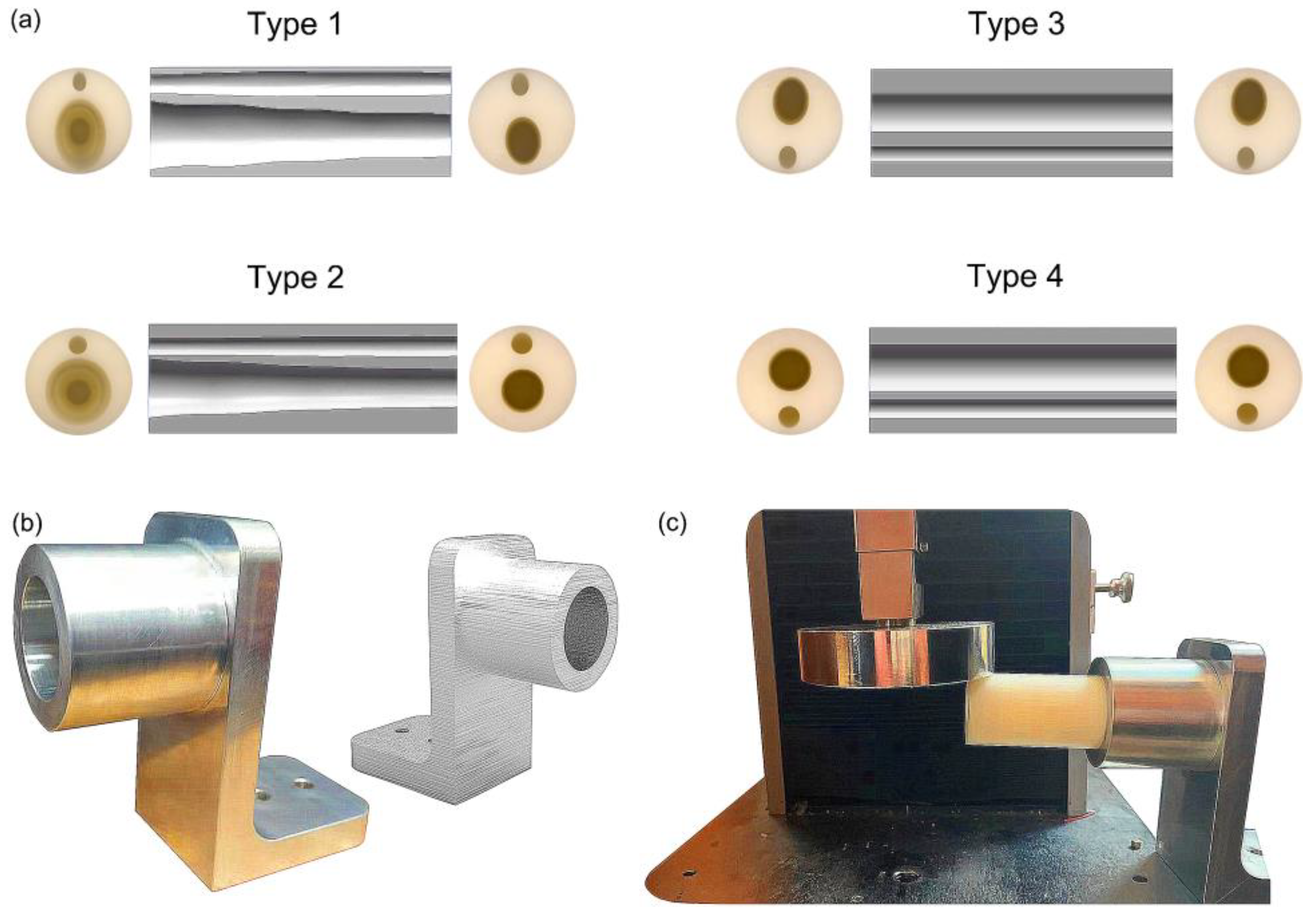 Biomimetics 08 00018 g005