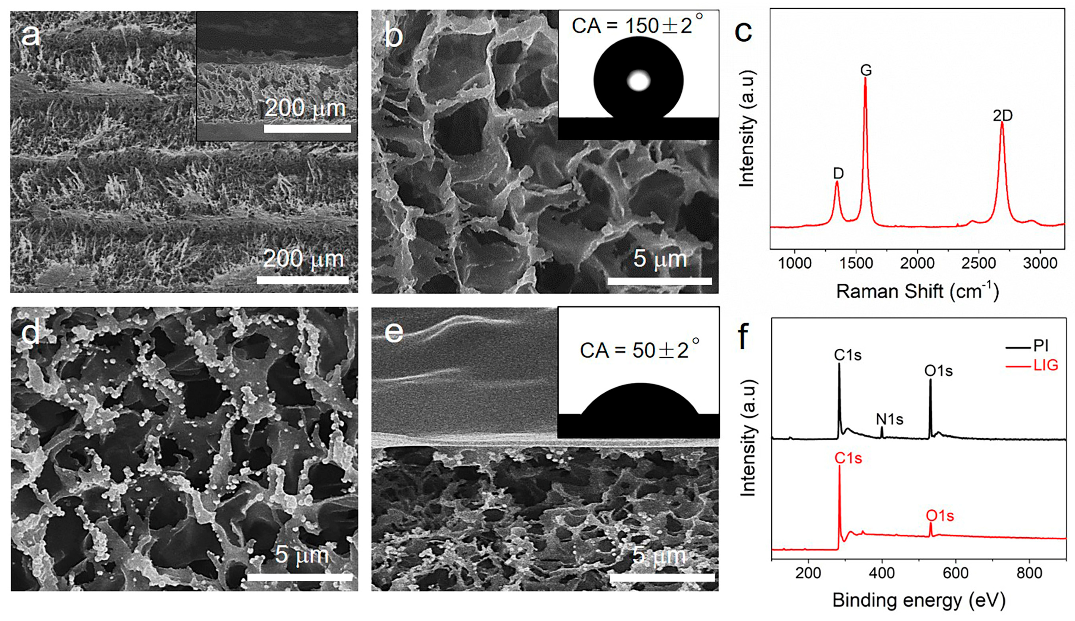 Biomimetics 08 00026 g002