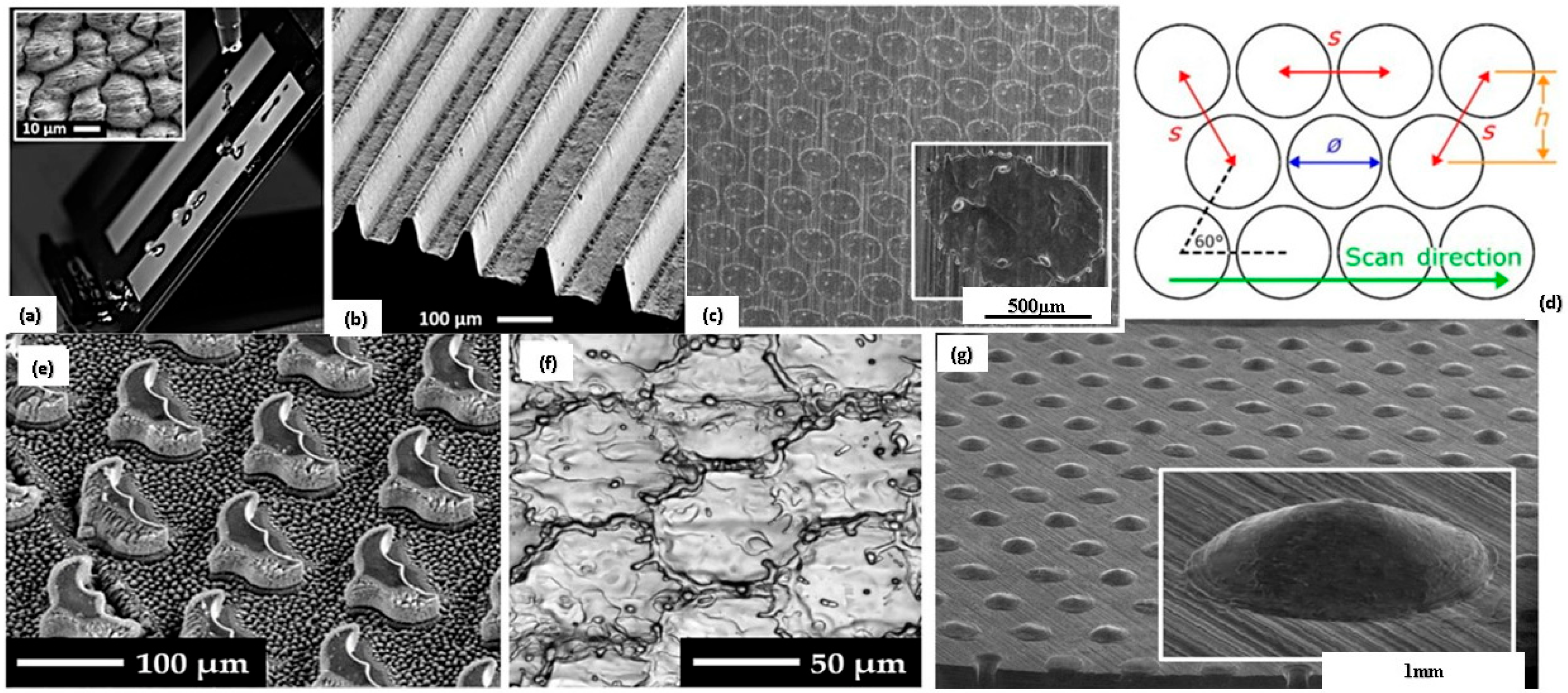 Biomimetics 08 00062 g003