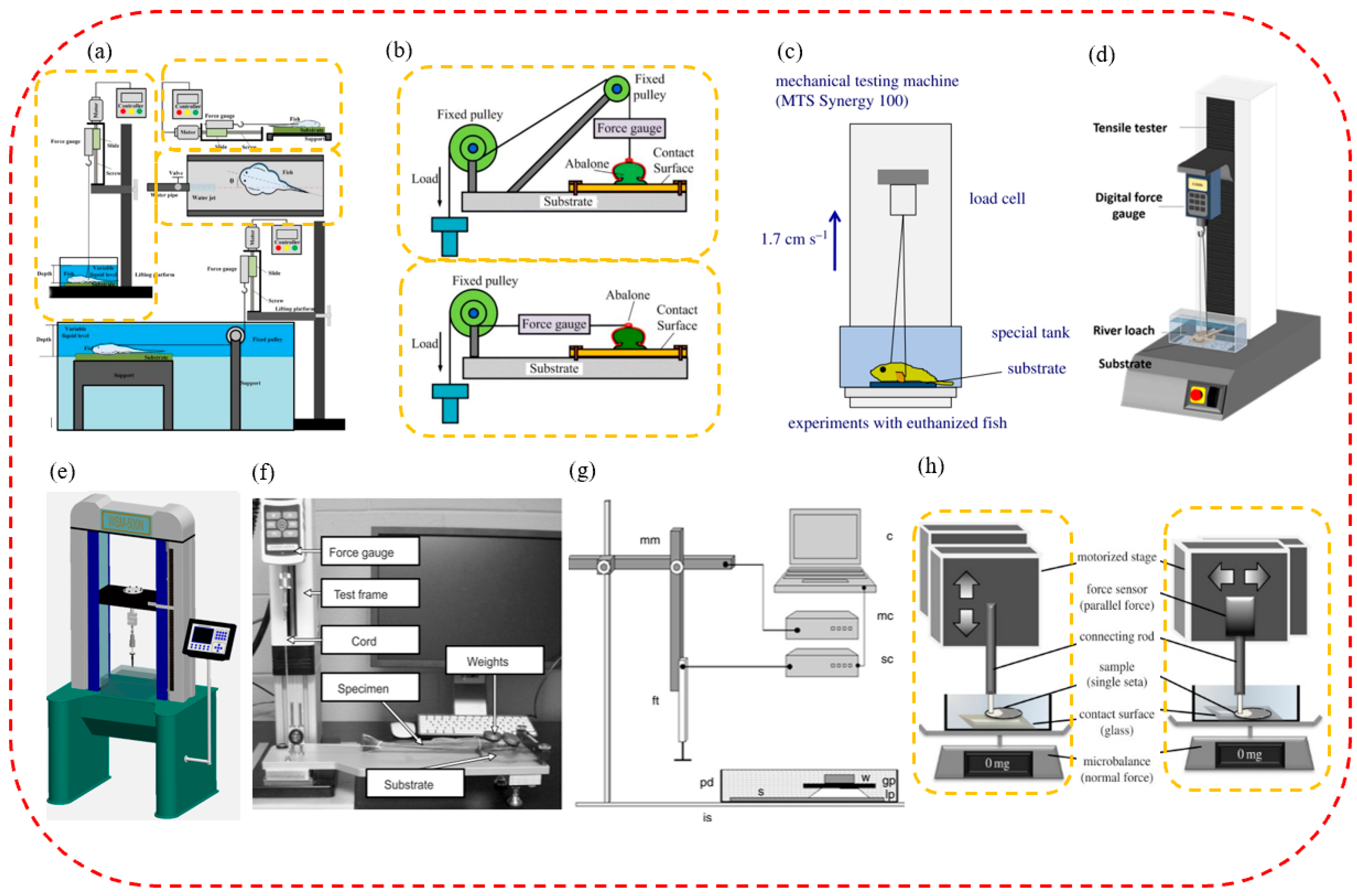 Biomimetics 08 00085 g003 Biomimetics 08 00085 g003