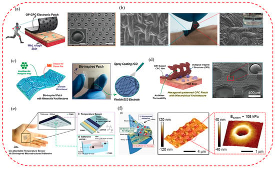 A wet-tolerant adhesive patch inspired by protuberances in suction