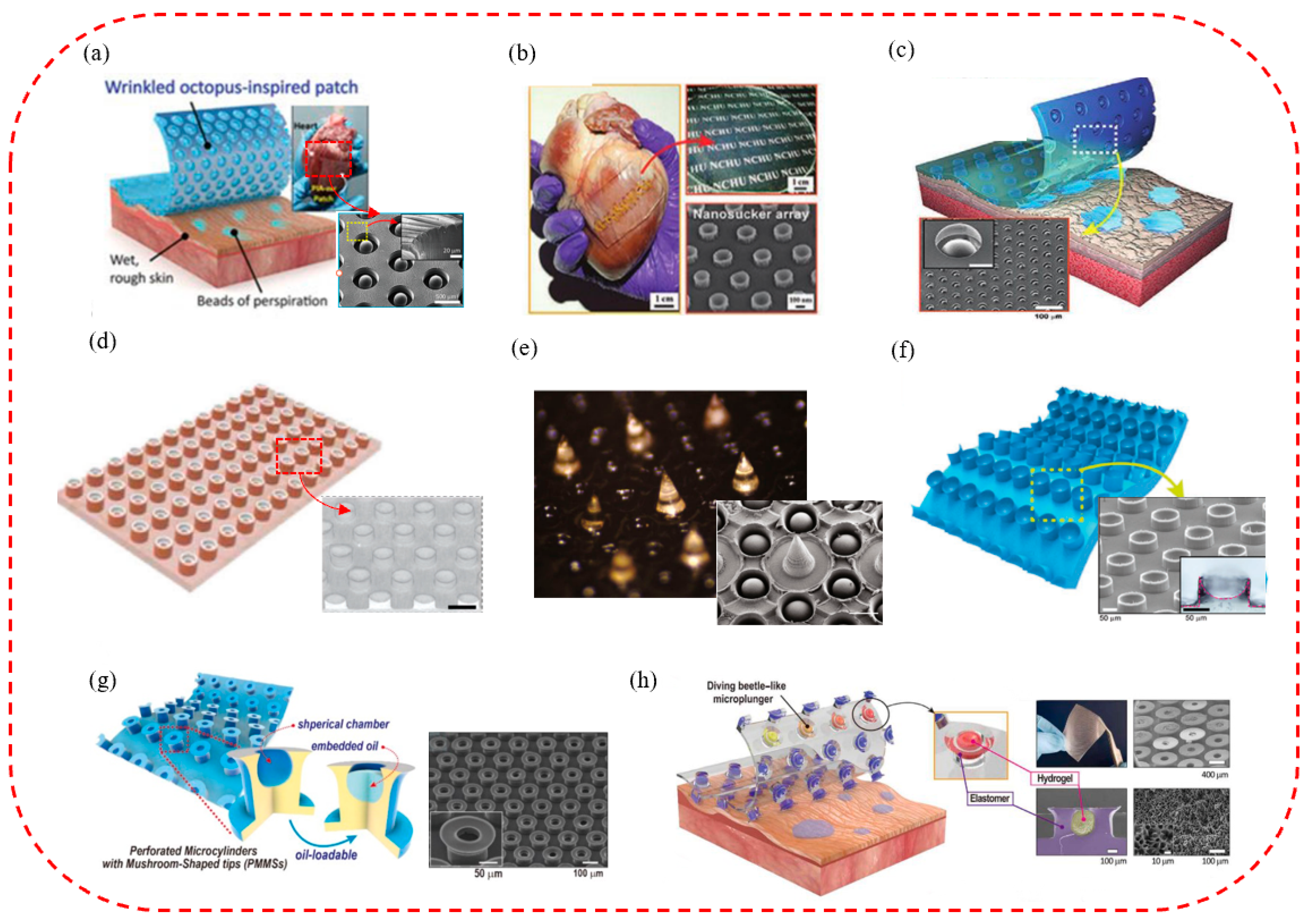 Biomimetics 08 00085 g008 Biomimetics 08 00085 g008