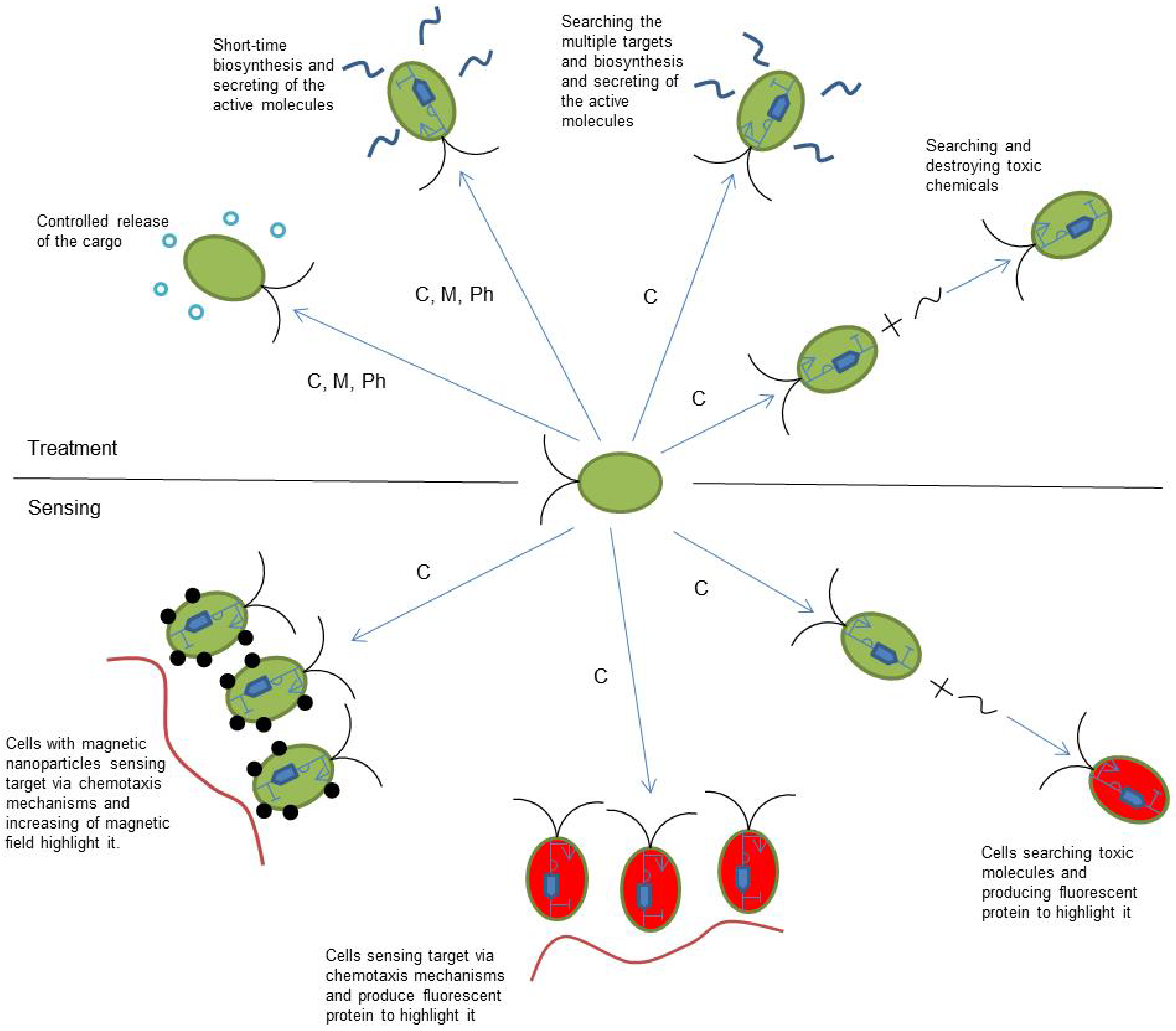 Biomimetics 08 00109 g003