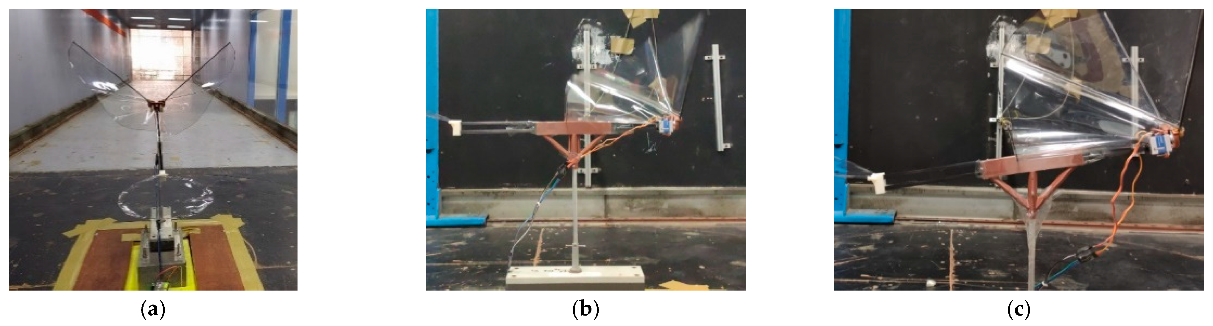 Biomimetics 08 00134 g007