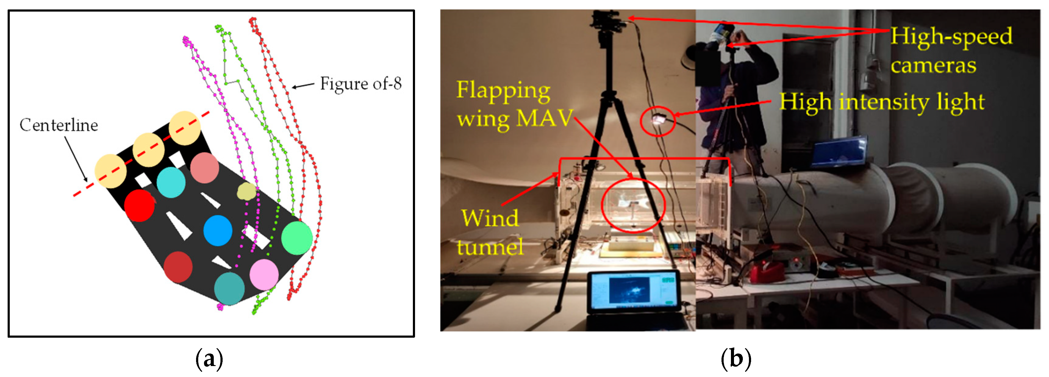 Biomimetics 08 00134 g008