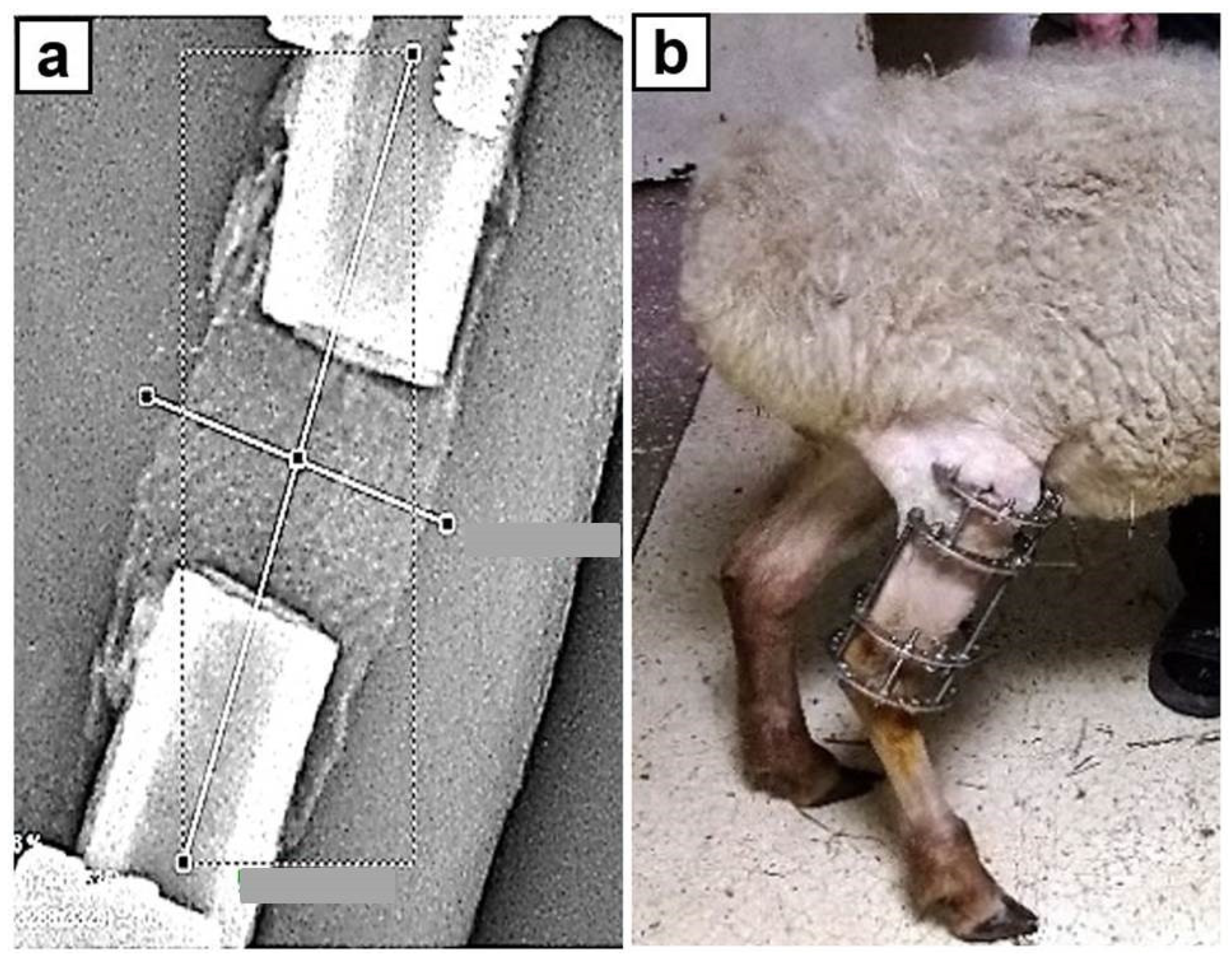 Biomimetics 08 00138 g002