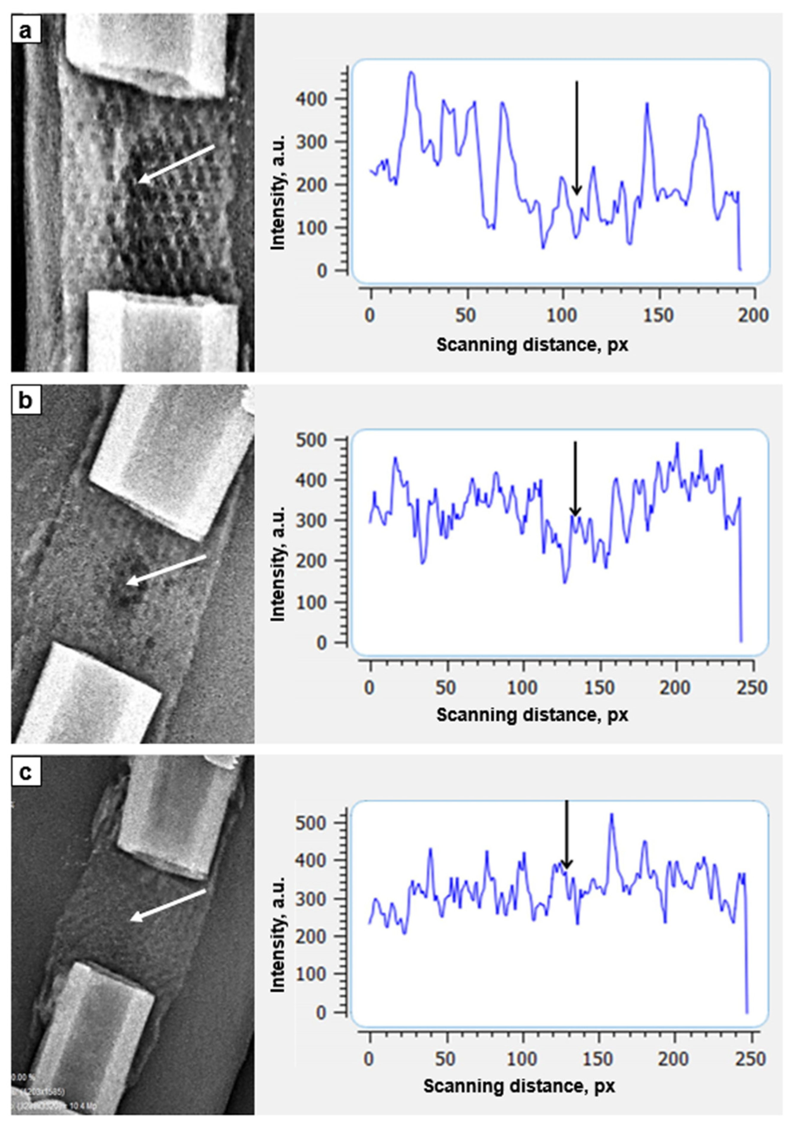 Biomimetics 08 00138 g004