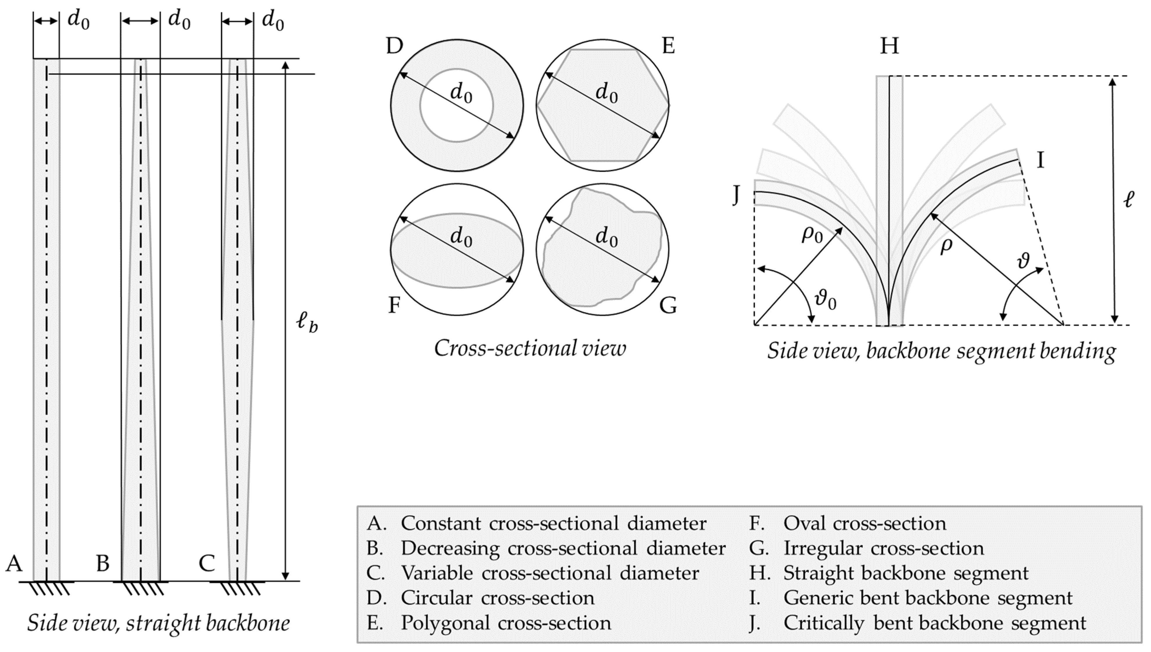Biomimetics 08 00147 g002