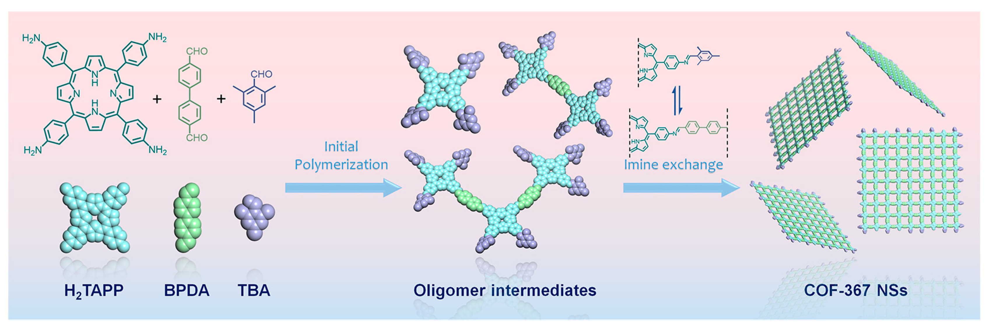 Biomimetics 08 00171 g008